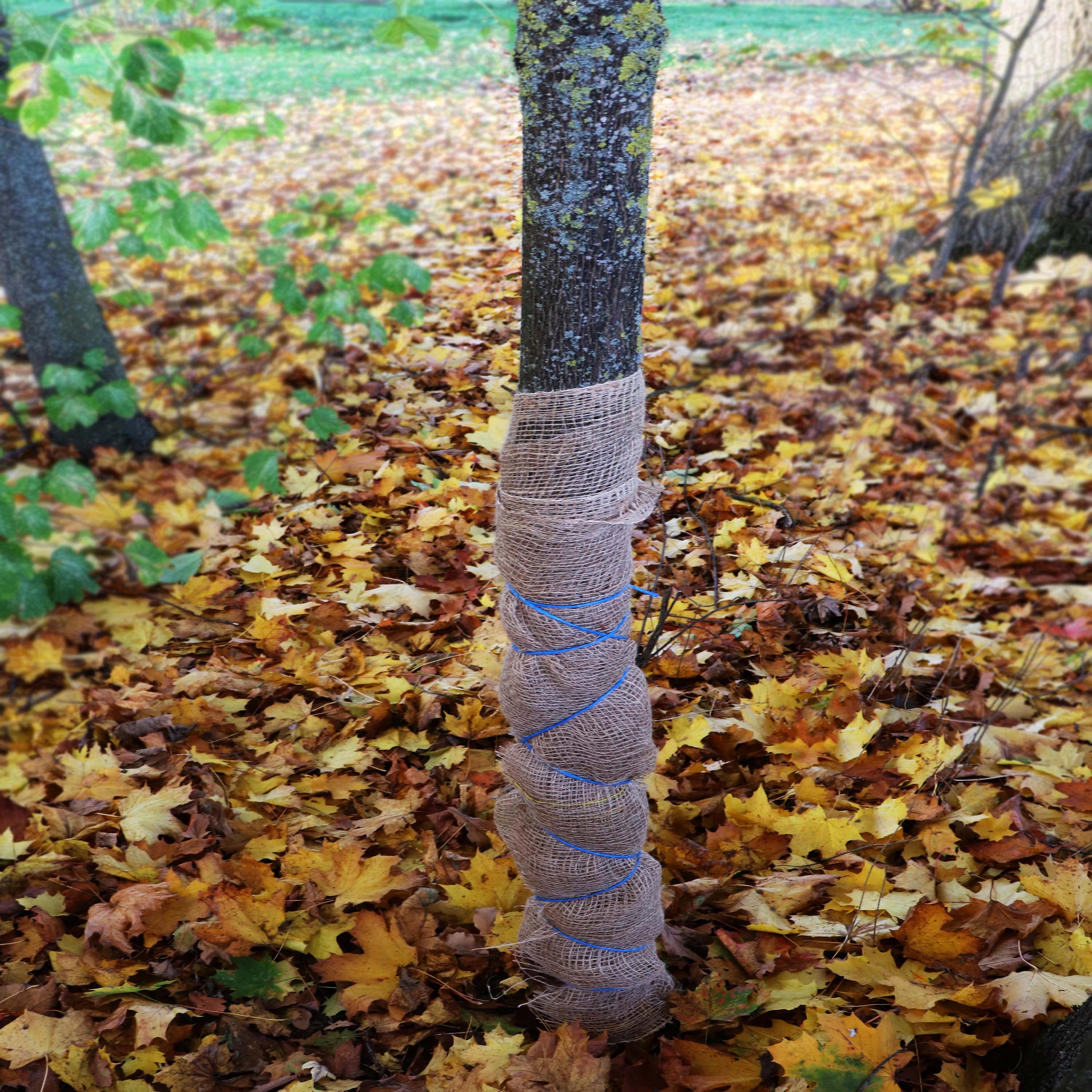 Vorschaubild 26