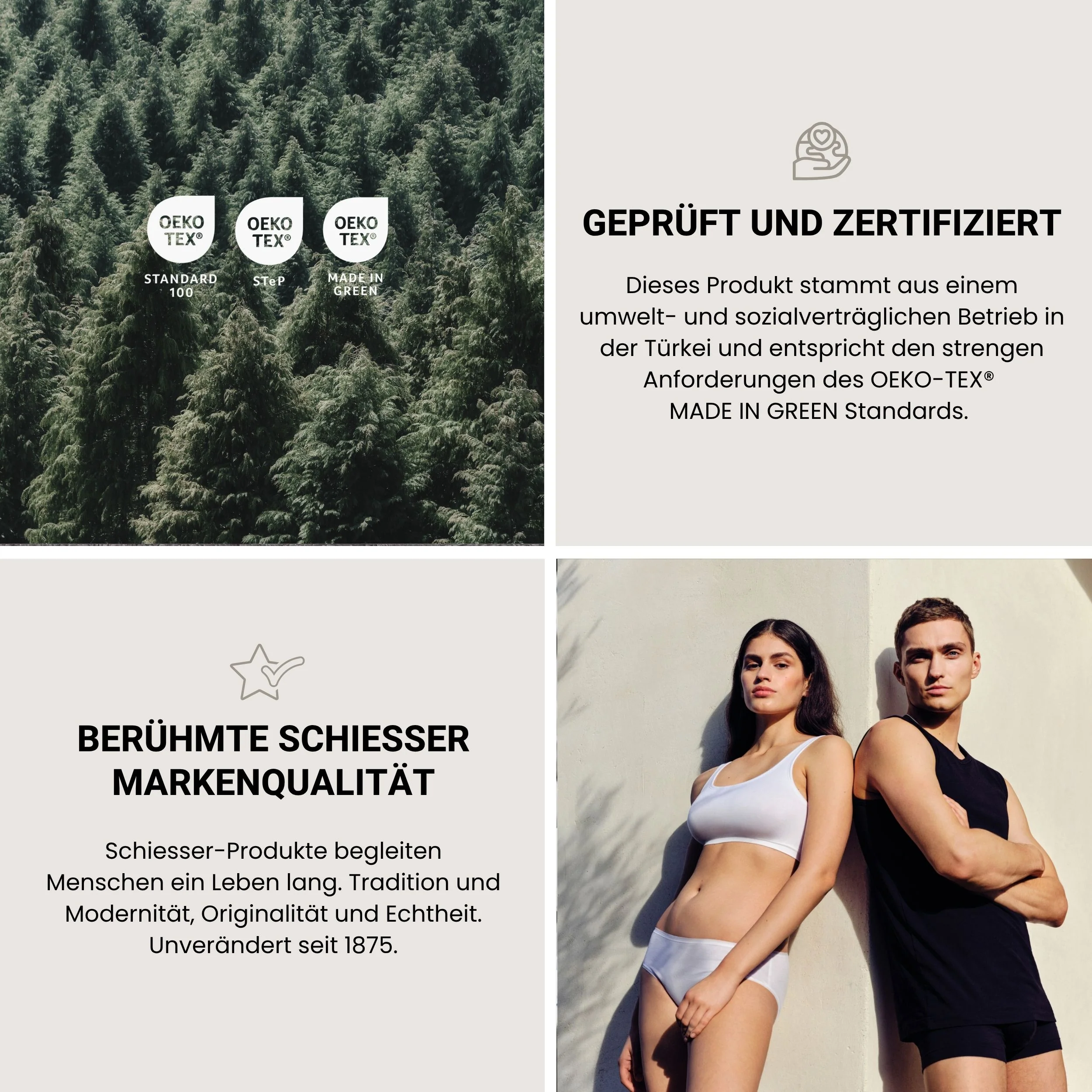 Vorschaubild 13
