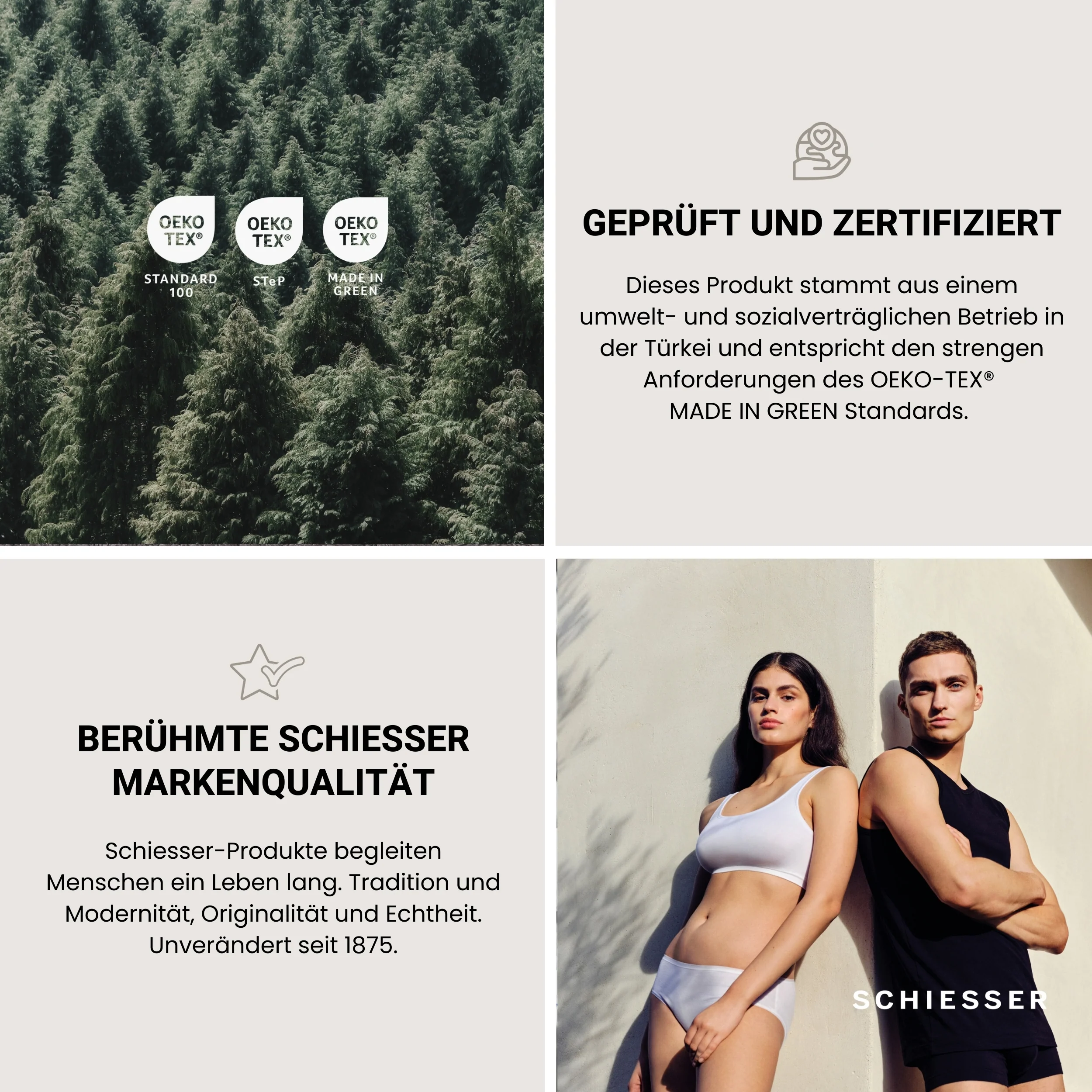 Vorschaubild 8