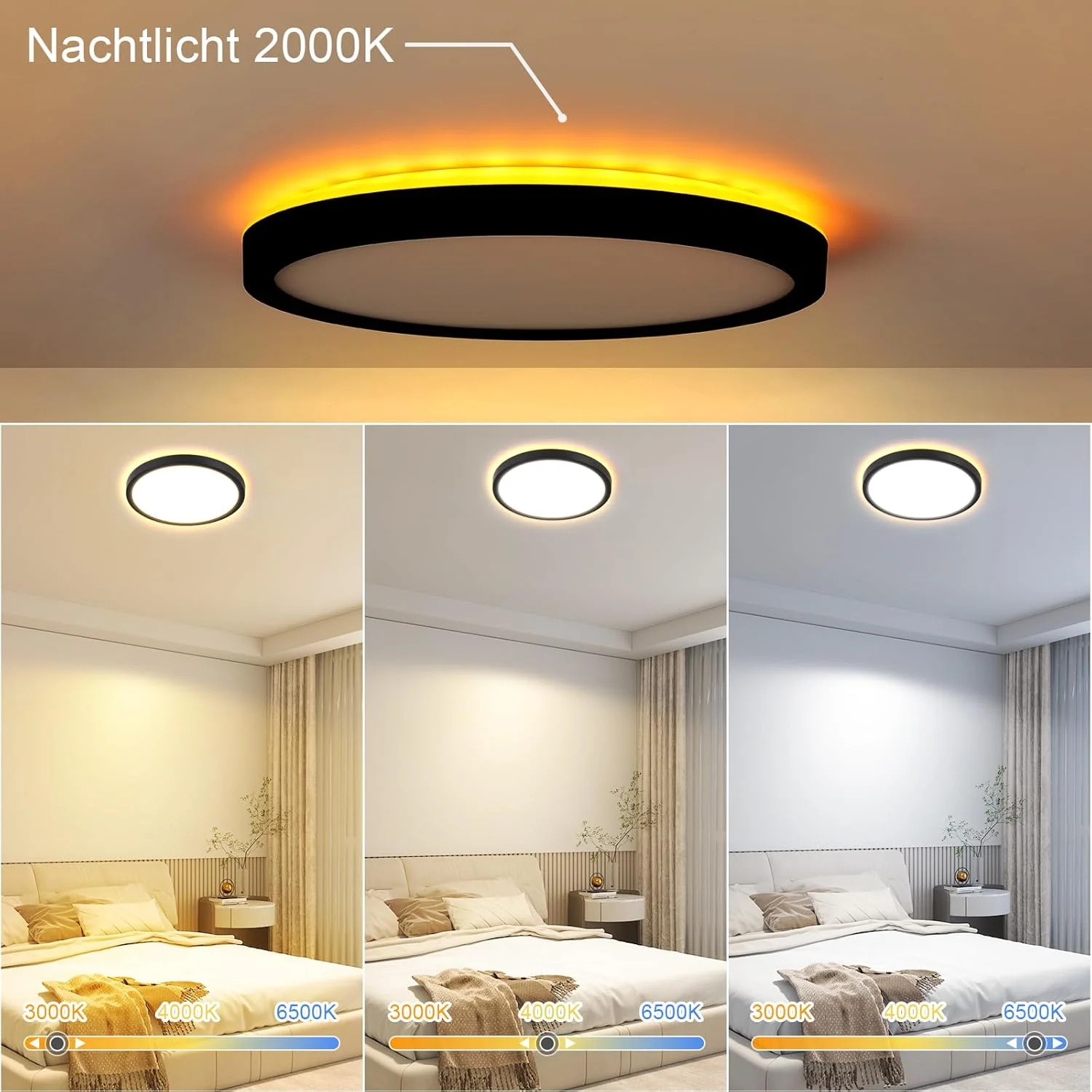 Vorschaubild 5