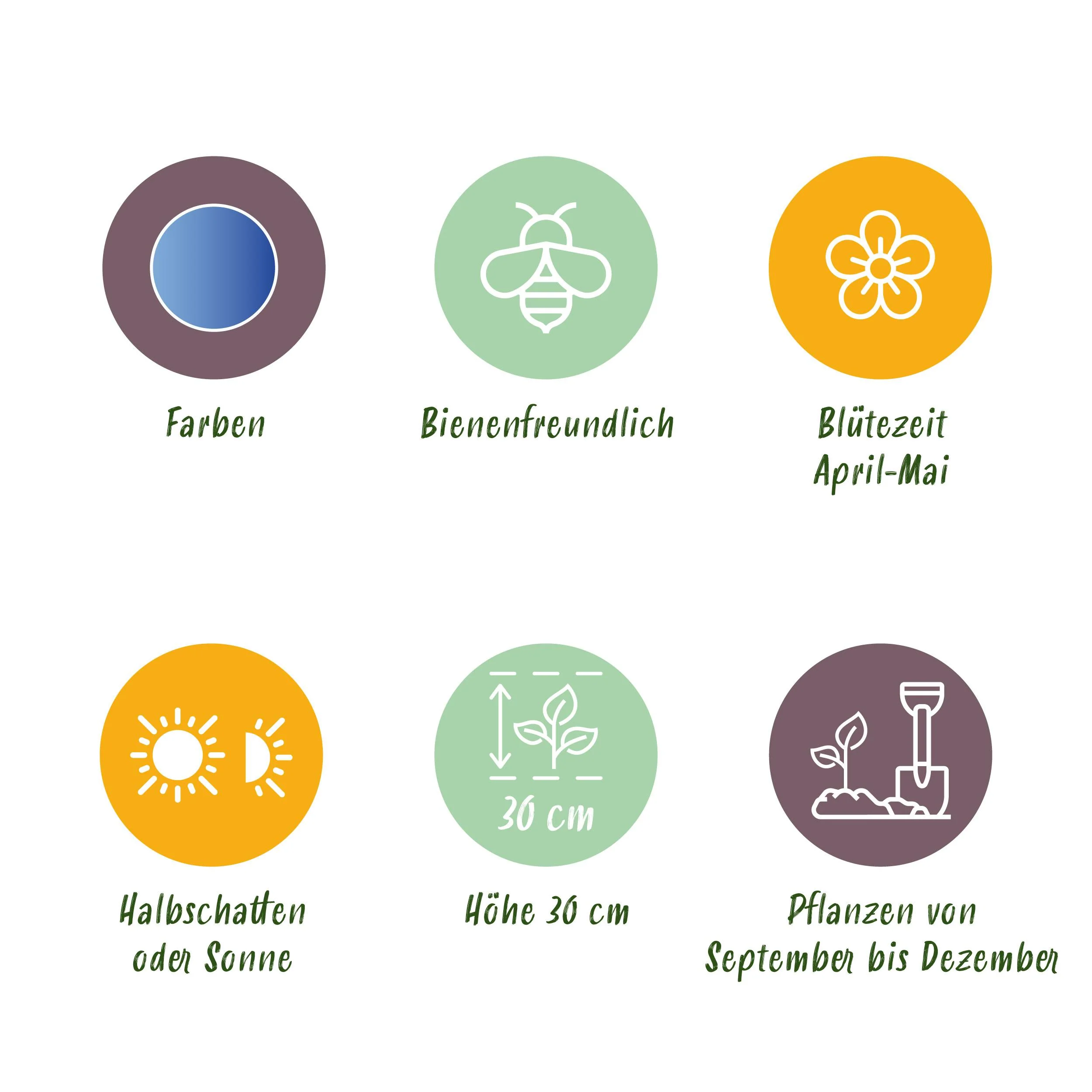 Vorschaubild 5
