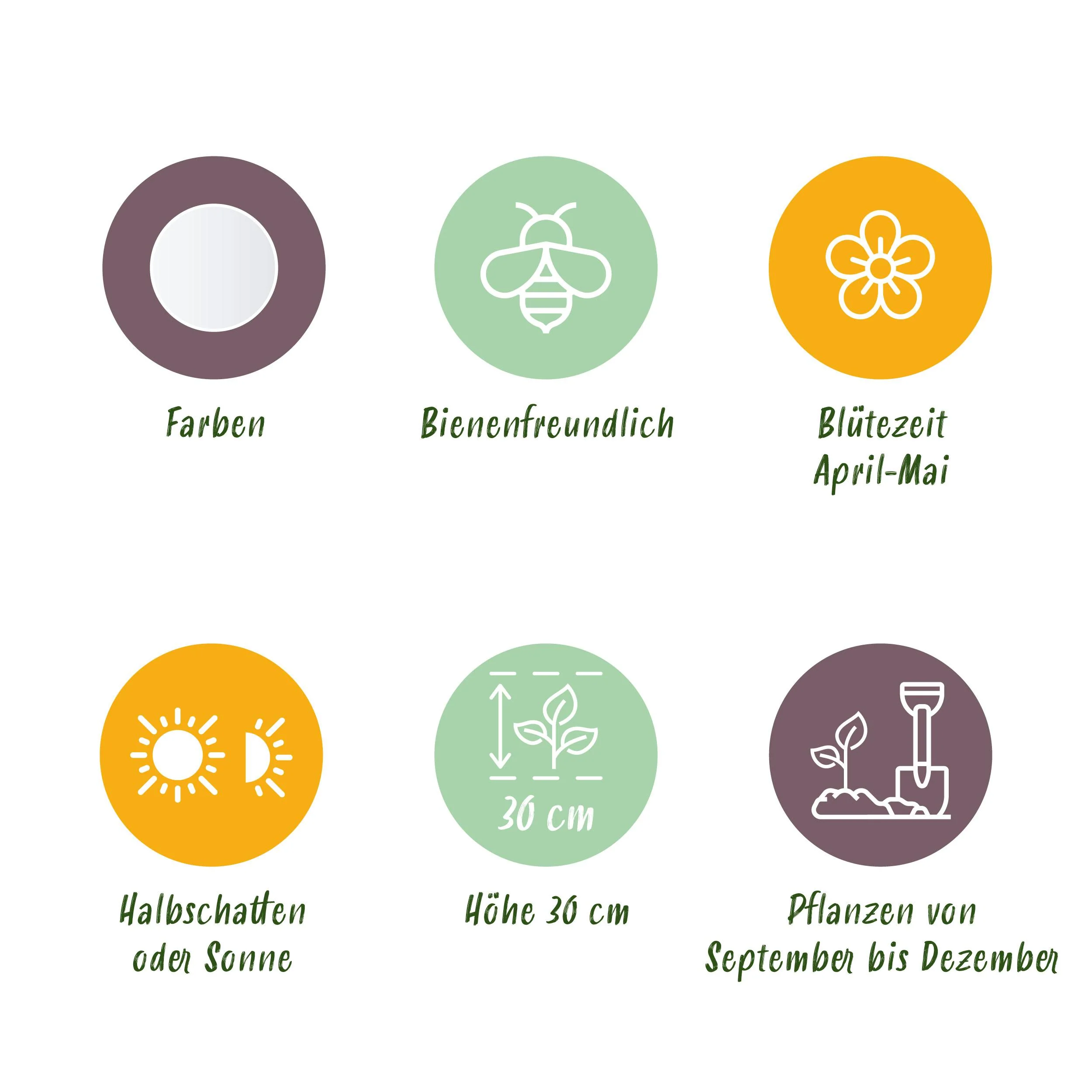Vorschaubild 5