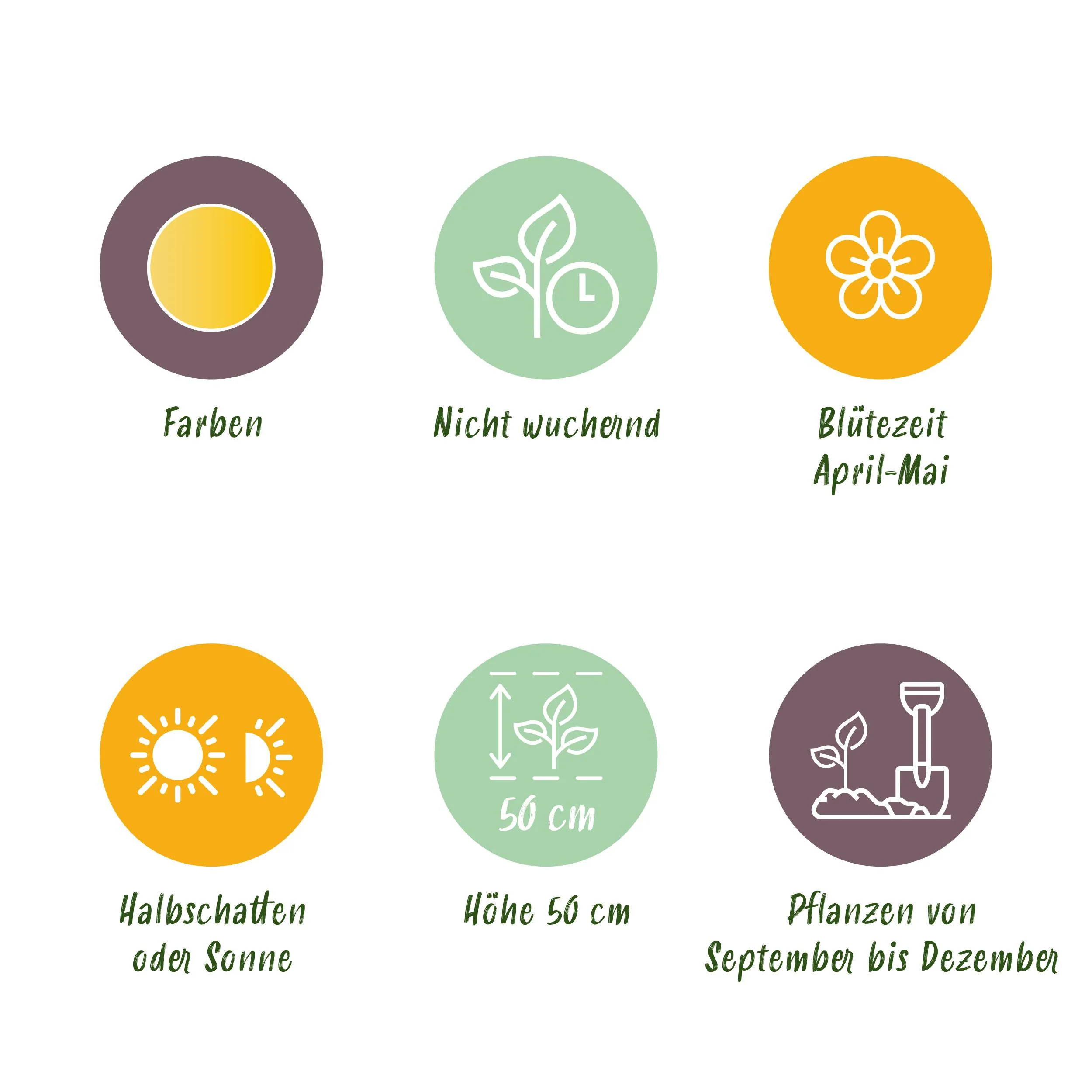 Vorschaubild 5