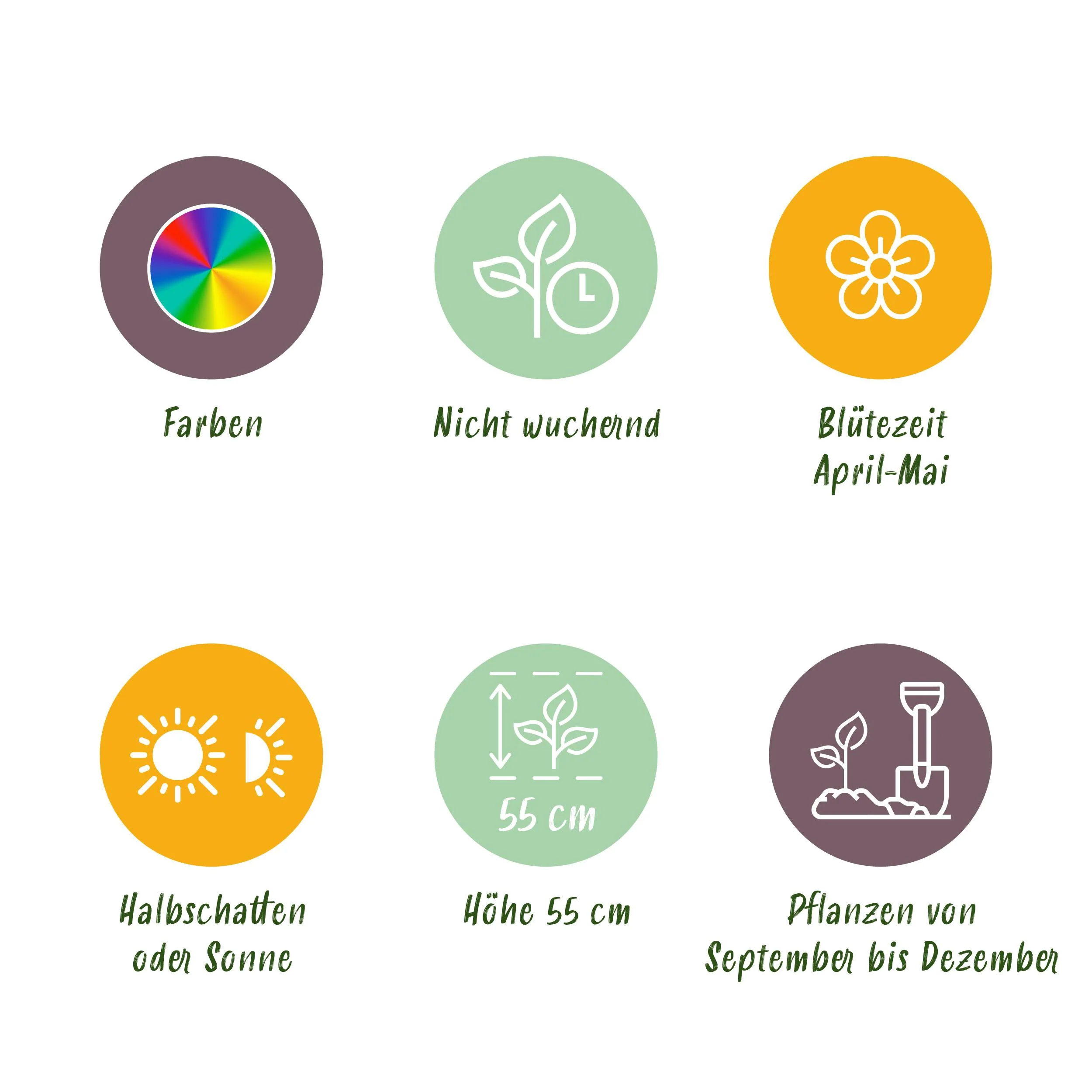 Vorschaubild 7