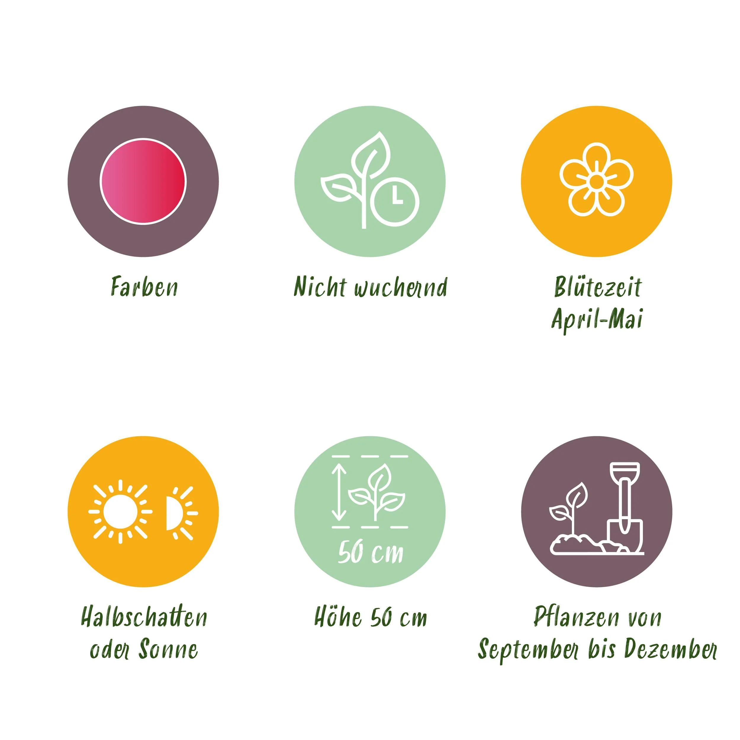 Vorschaubild 5