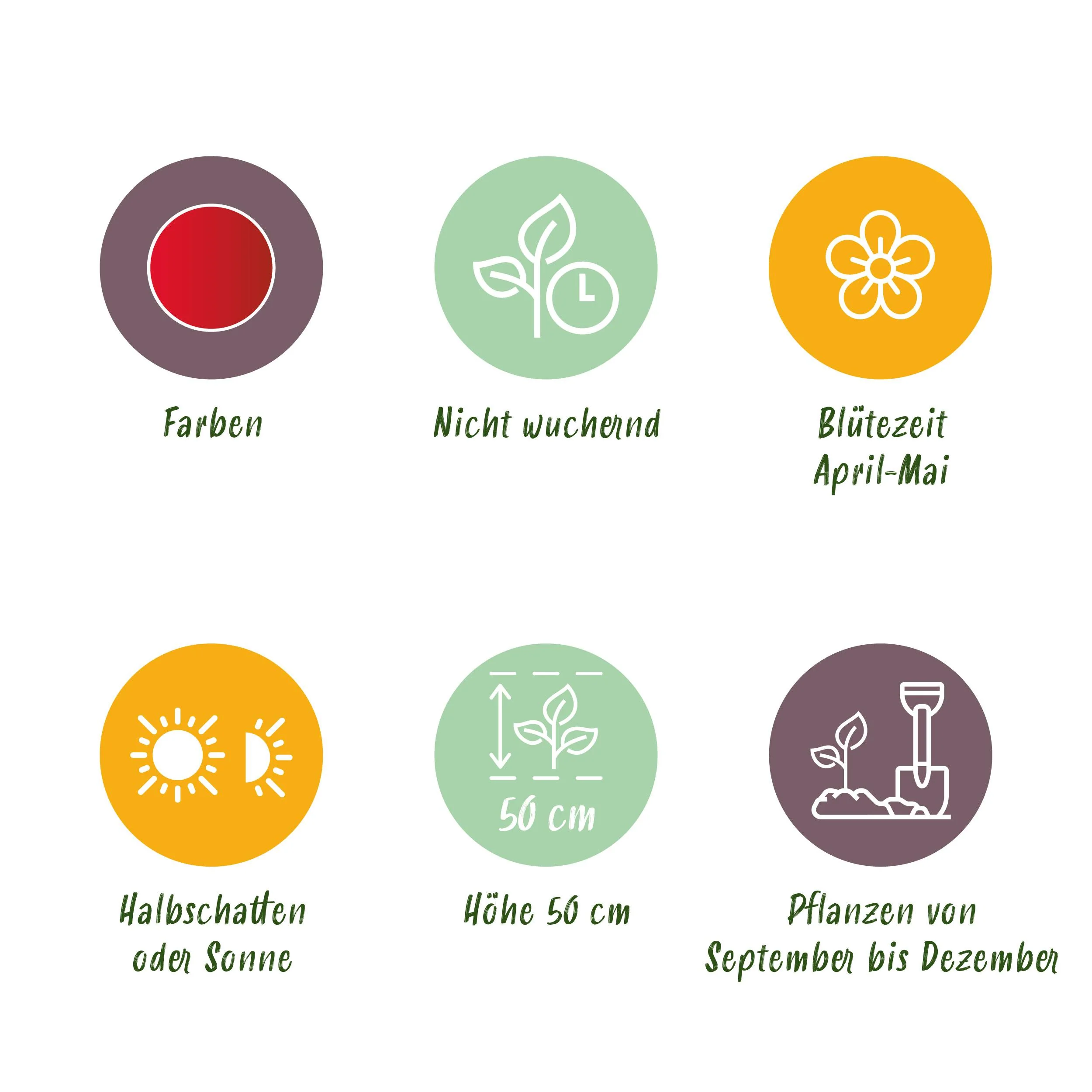 Vorschaubild 5