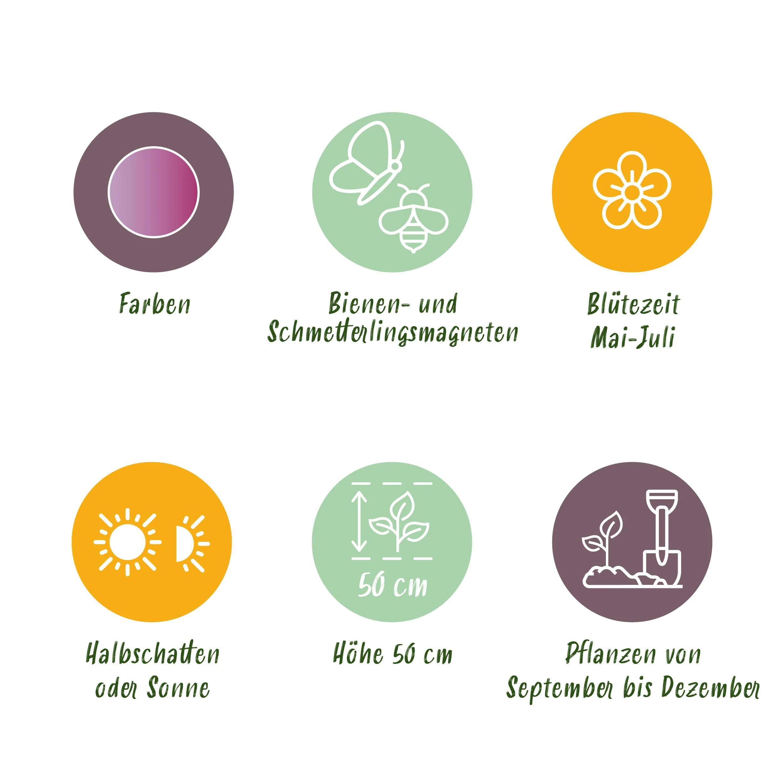 Vorschaubild 5