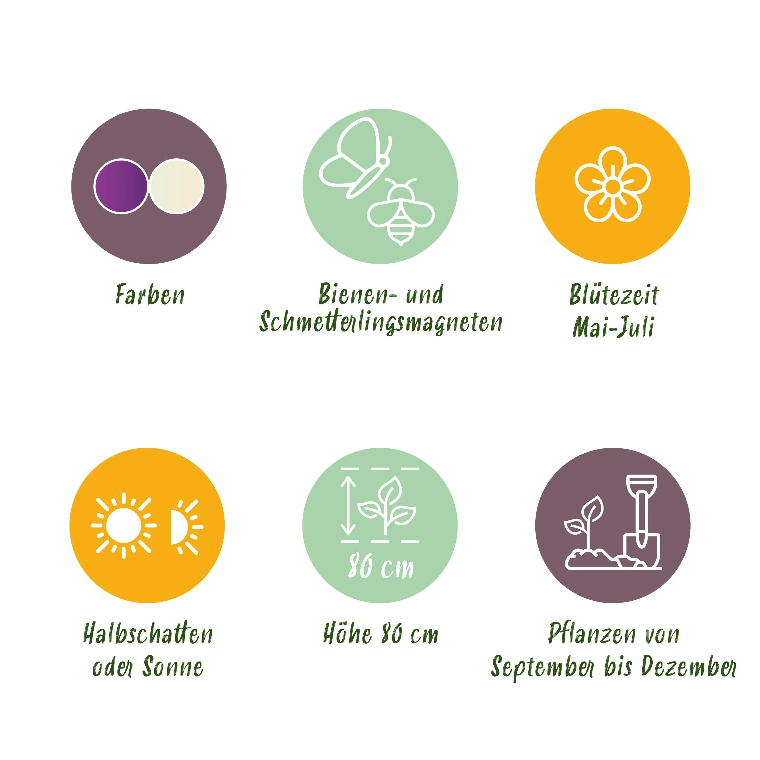 Vorschaubild 5