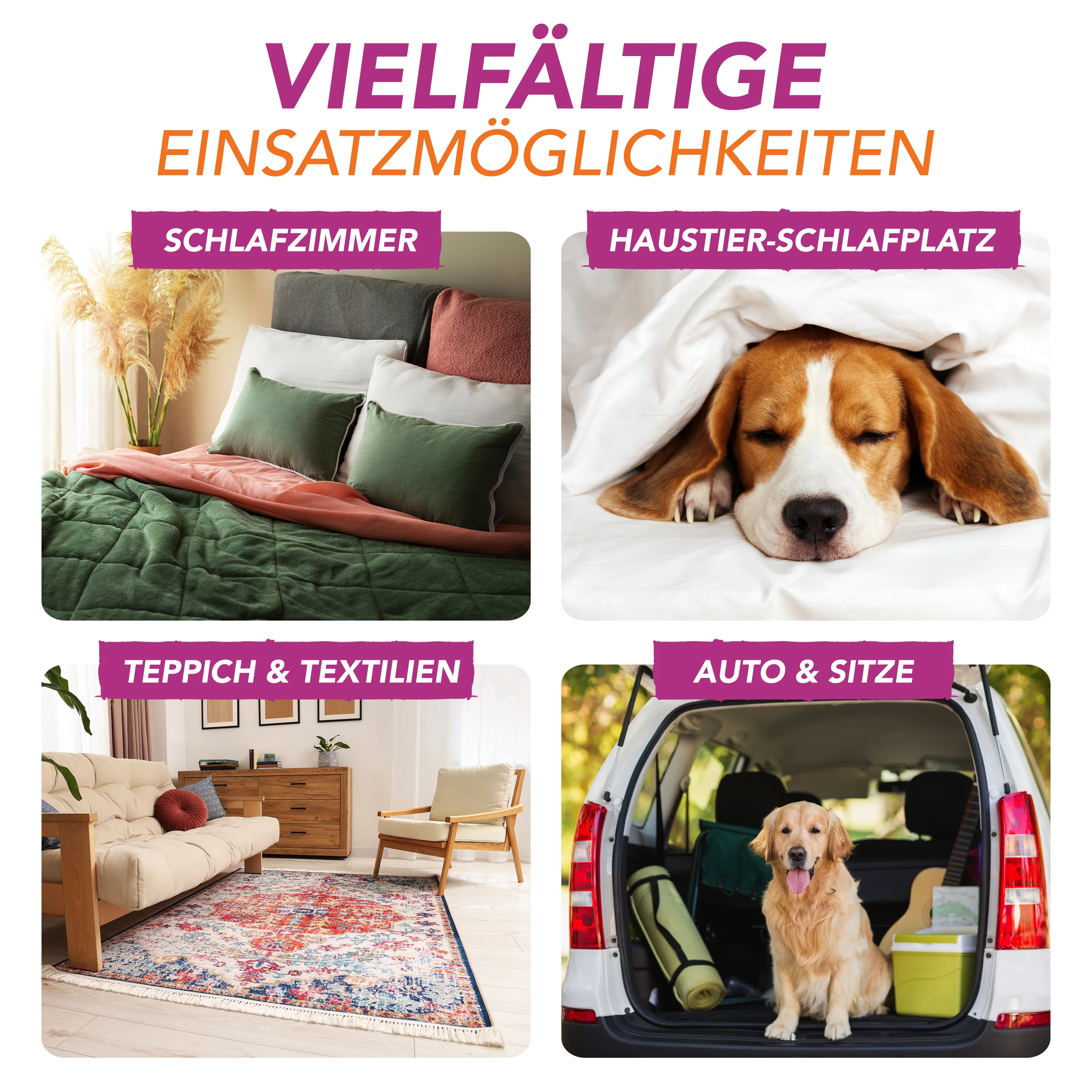 Vorschaubild 19