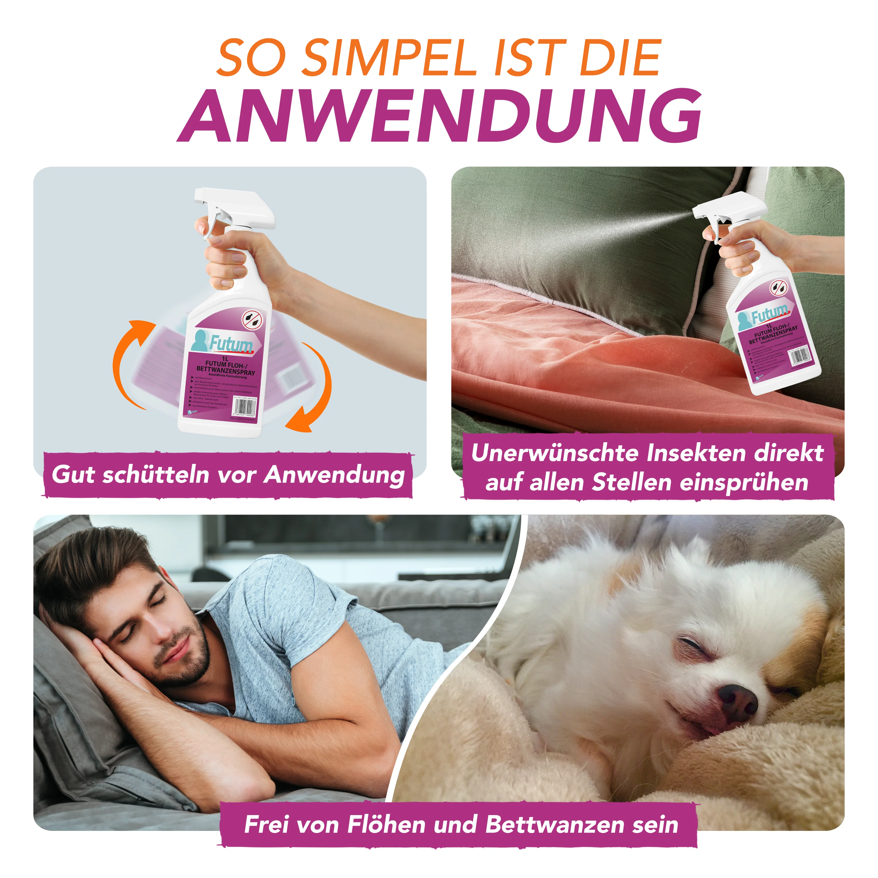 Vorschaubild 8