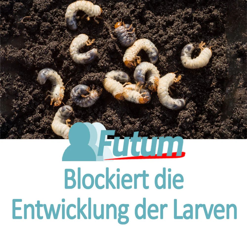 Vorschaubild 16