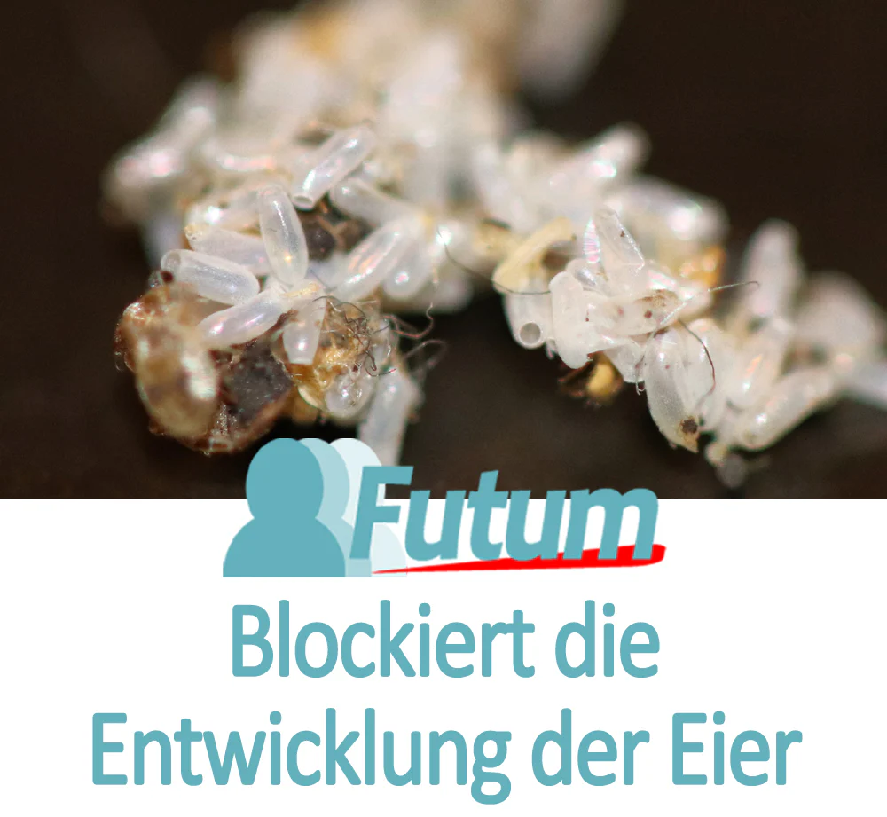 Vorschaubild 24