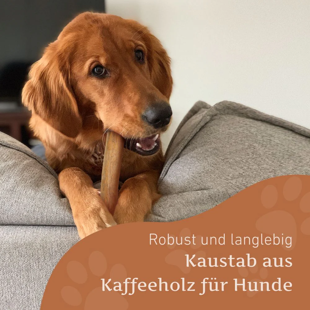 Vorschaubild 16