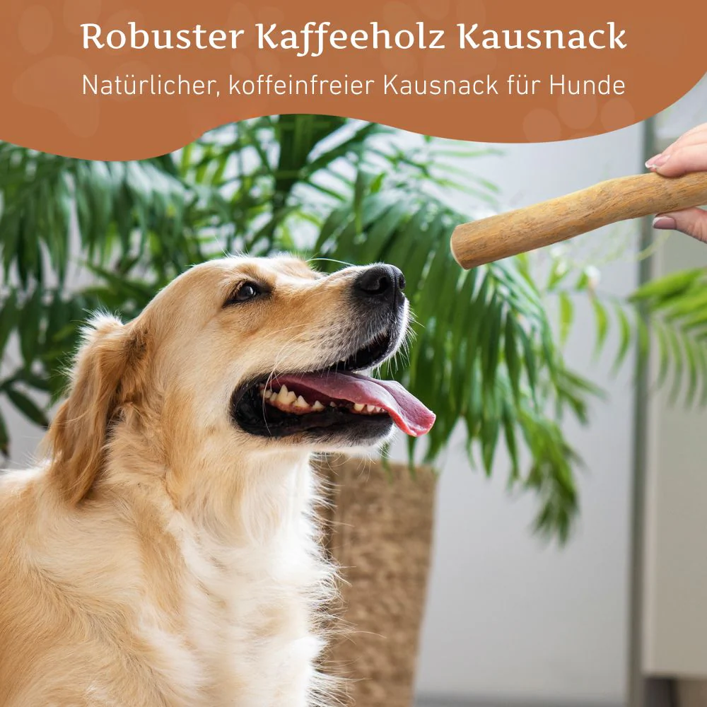 Vorschaubild 35