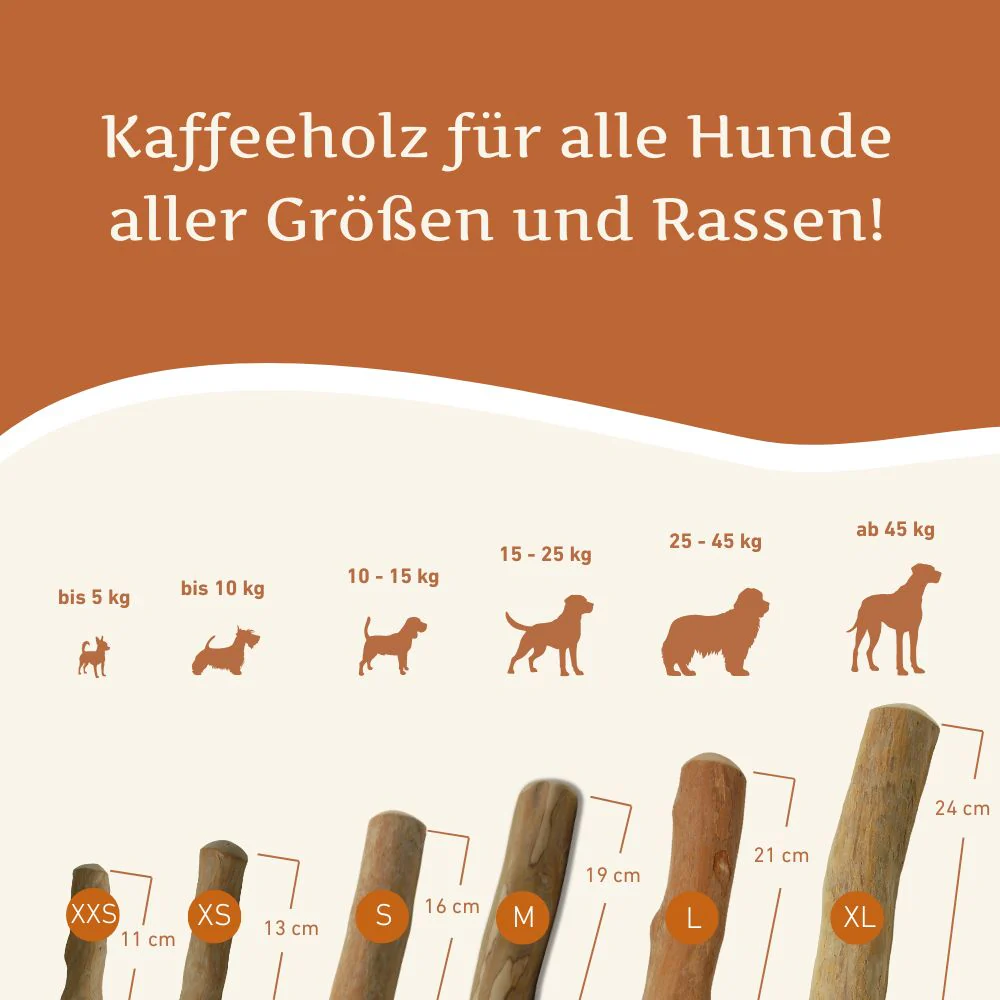 Vorschaubild 34