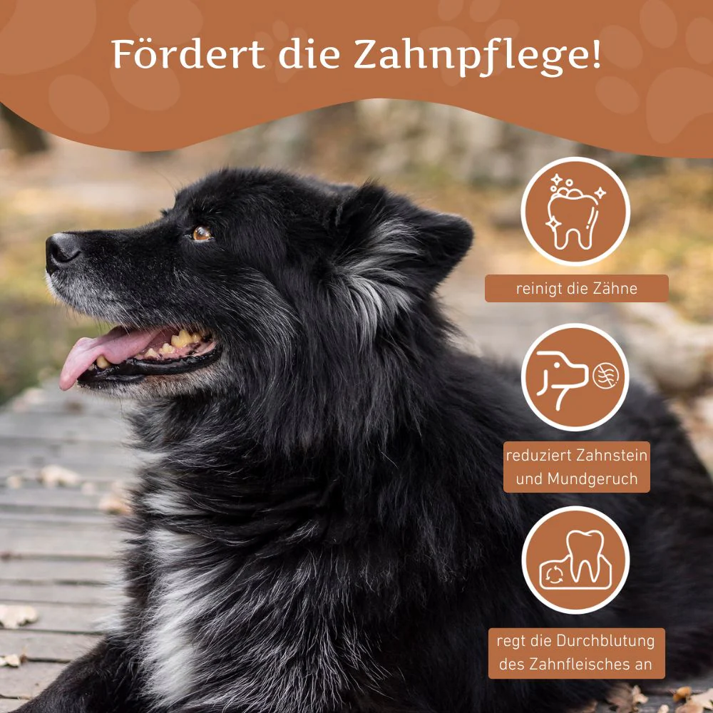 Vorschaubild 49