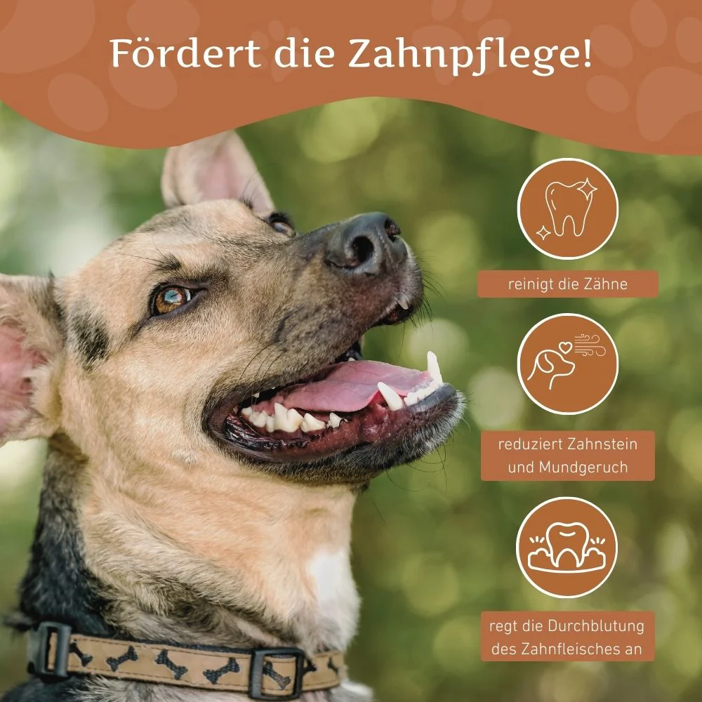 Vorschaubild 6