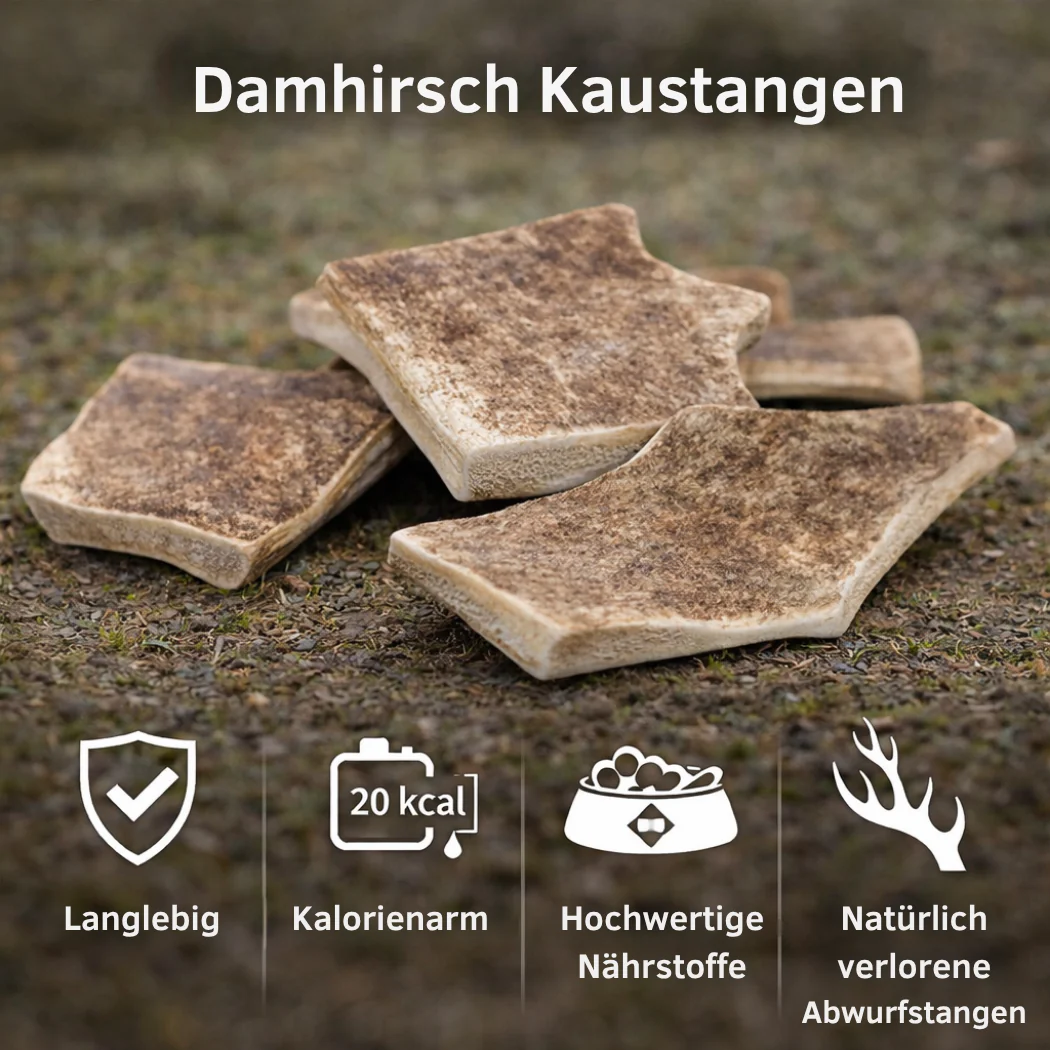 Vorschaubild 4