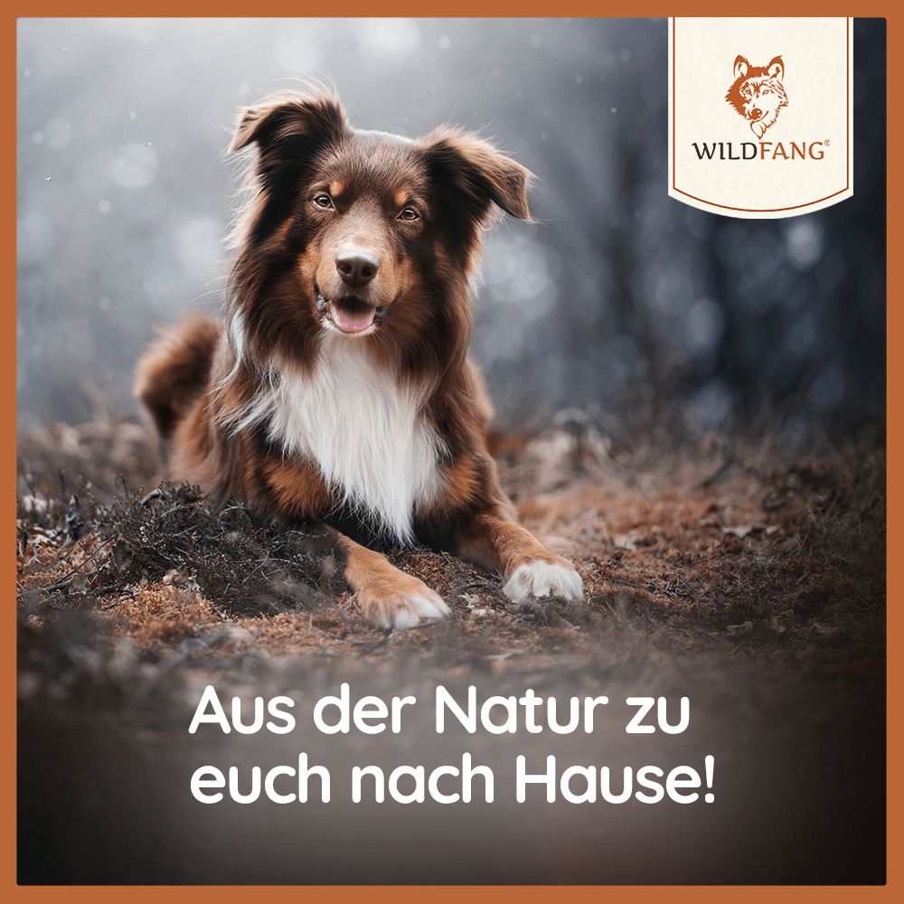 Vorschaubild 17