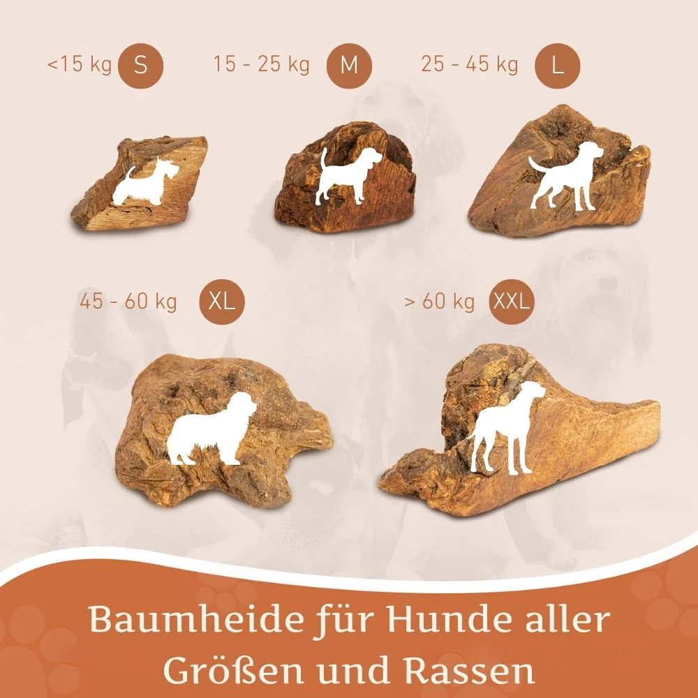 Vorschaubild 12