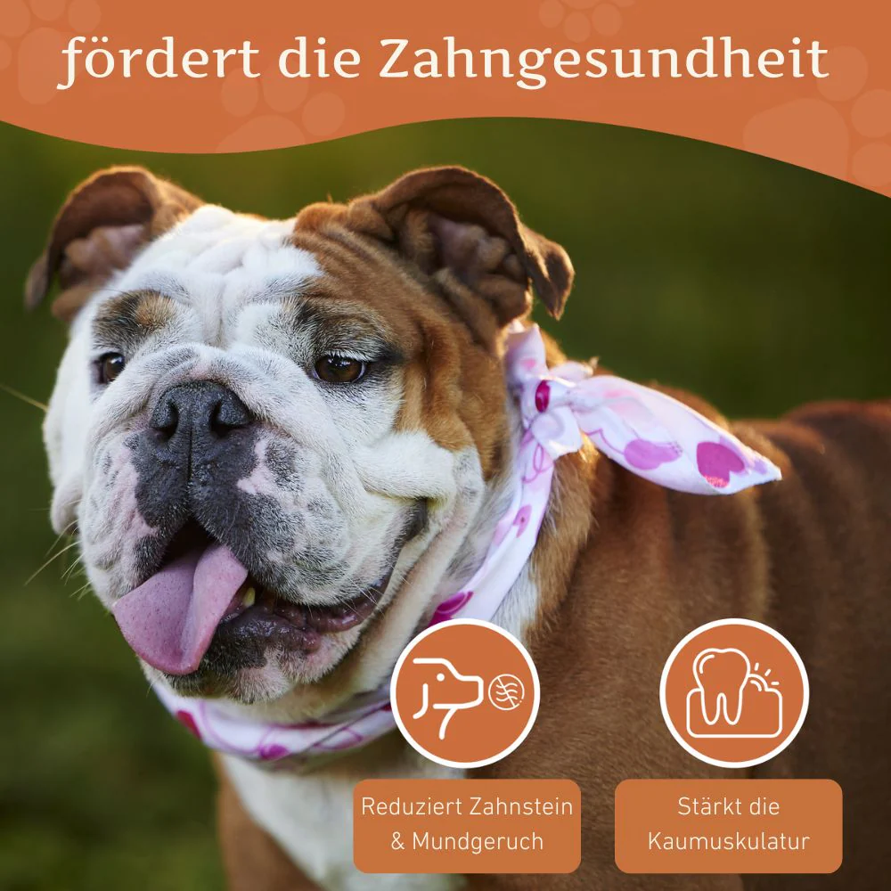 Vorschaubild 24