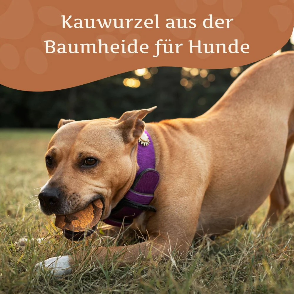 Vorschaubild 58