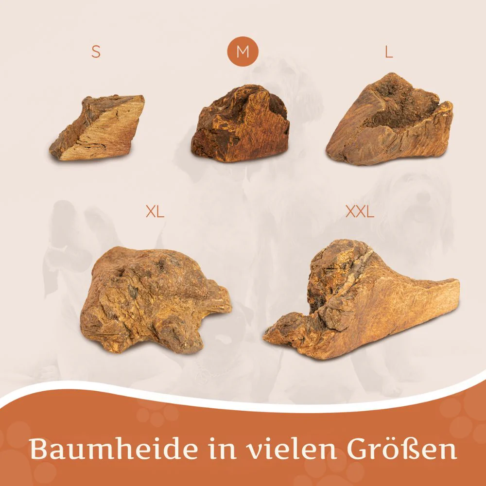 Vorschaubild 85