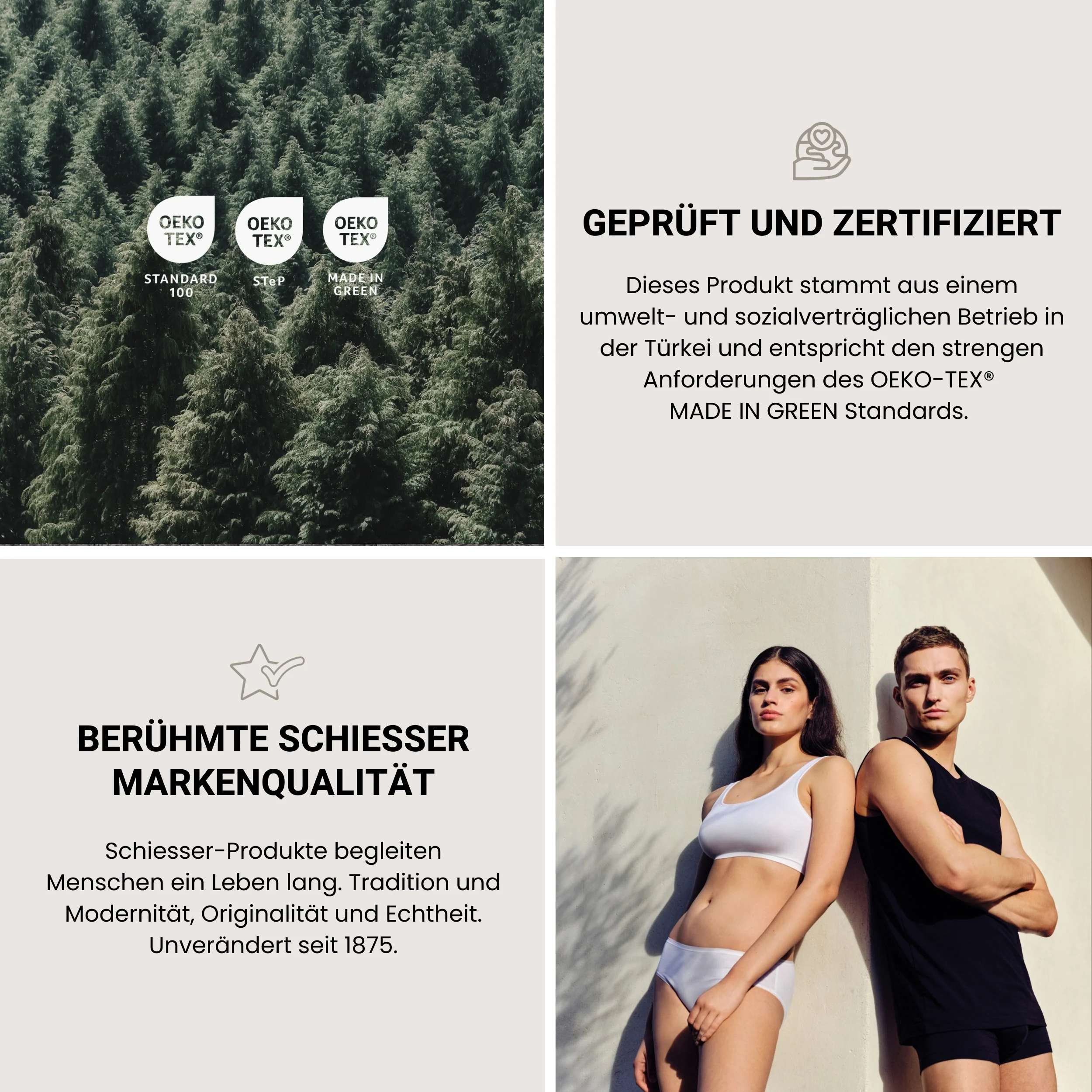 Vorschaubild 51