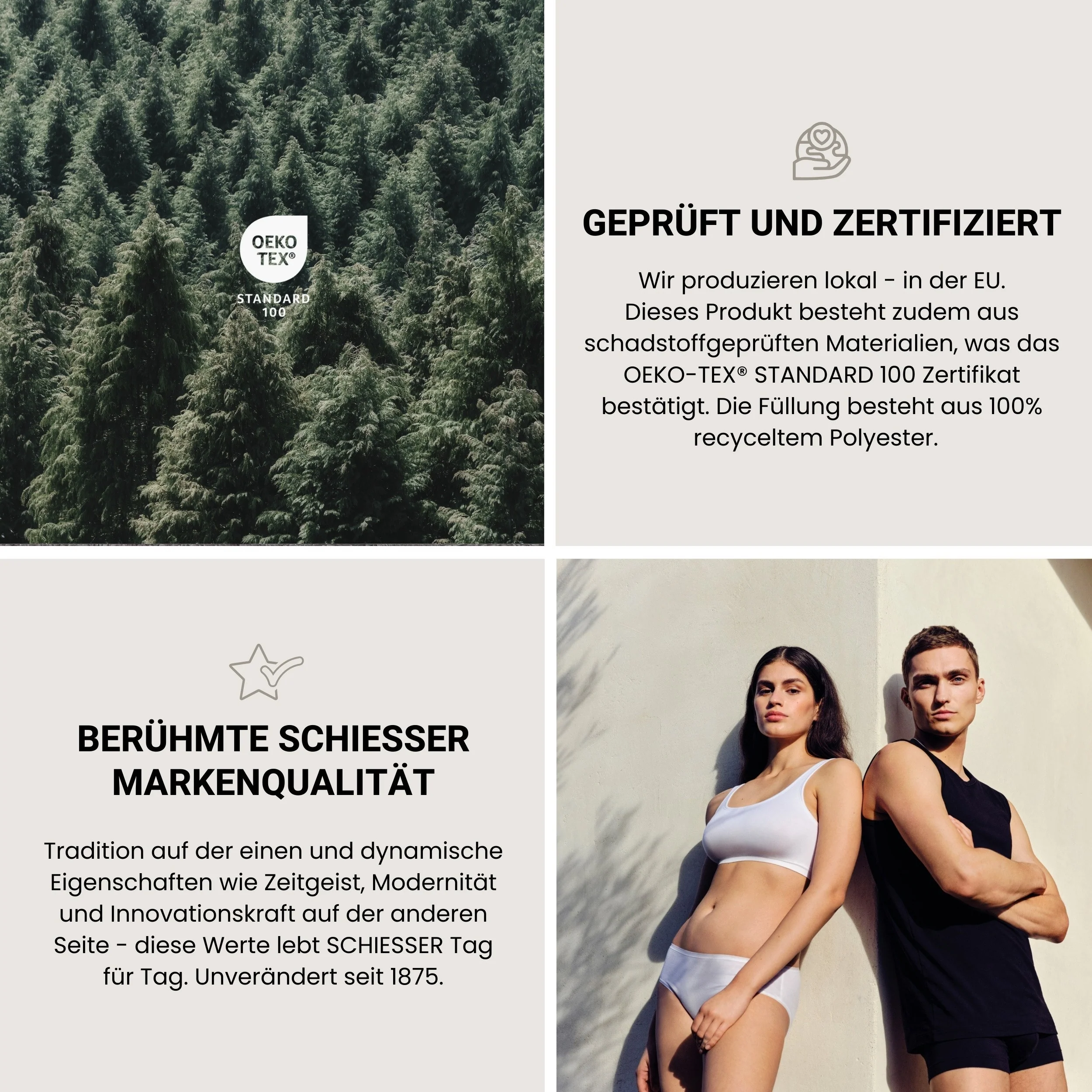 Vorschaubild 8