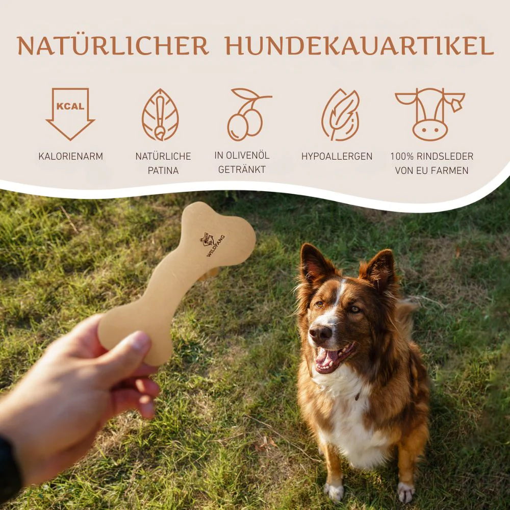 Vorschaubild 14