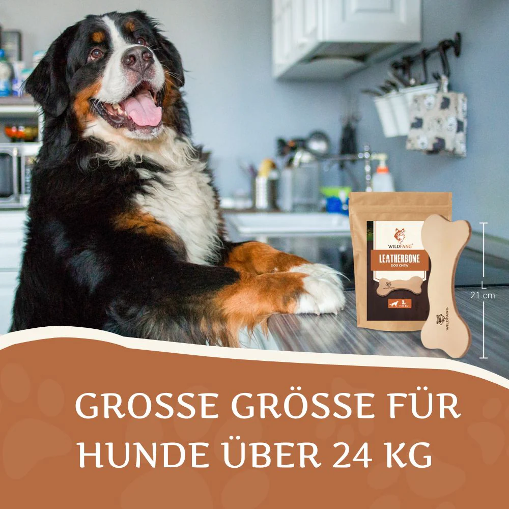 Vorschaubild 25