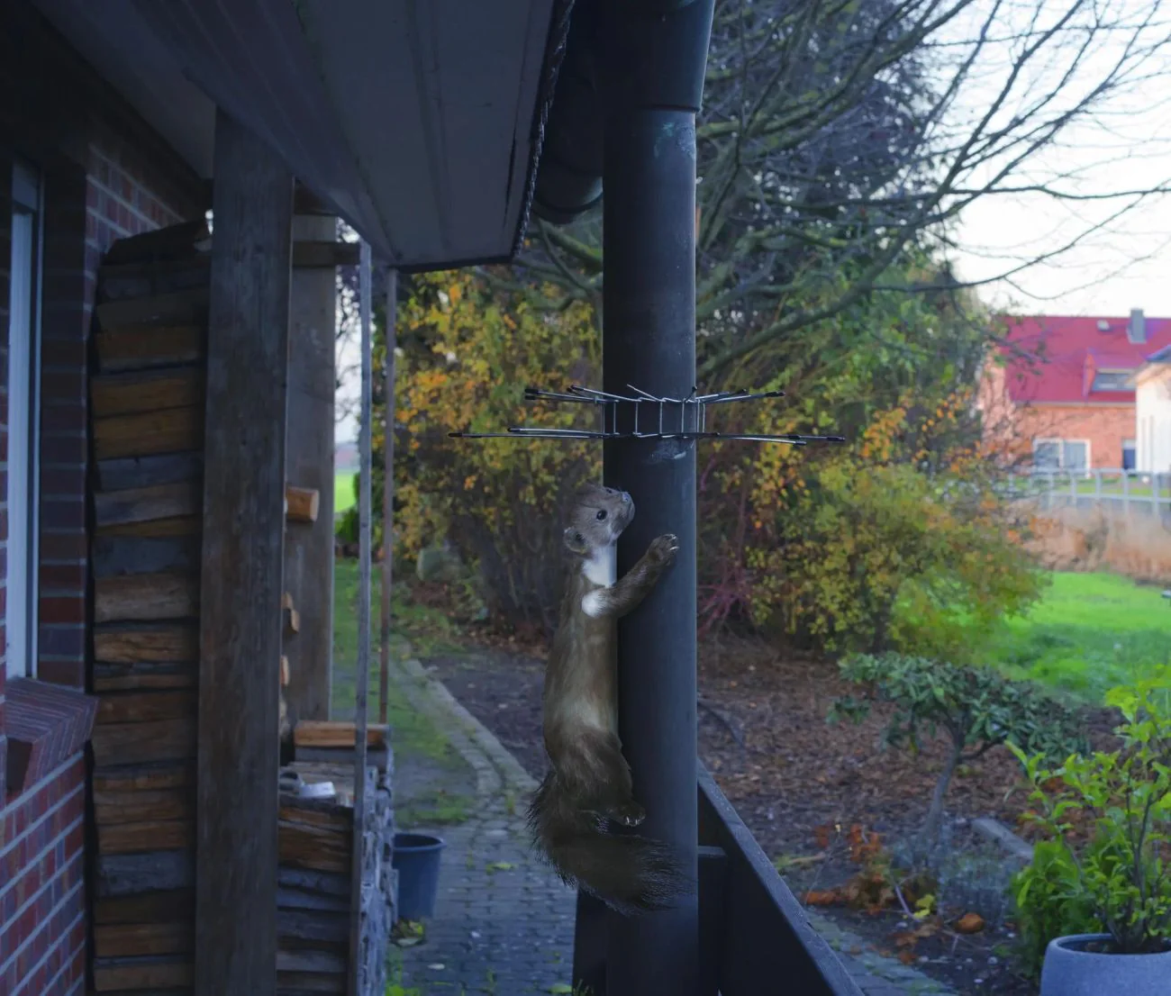 Vorschaubild 12