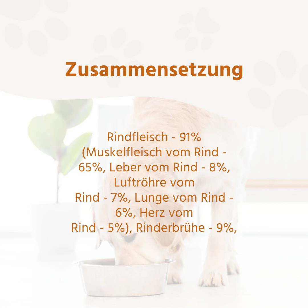 Vorschaubild 13