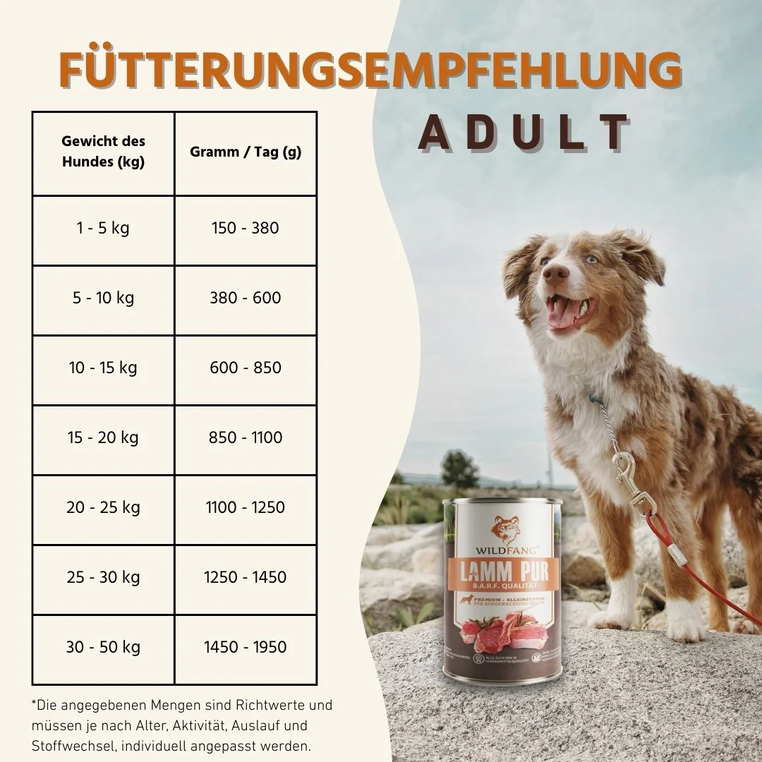 Vorschaubild 74
