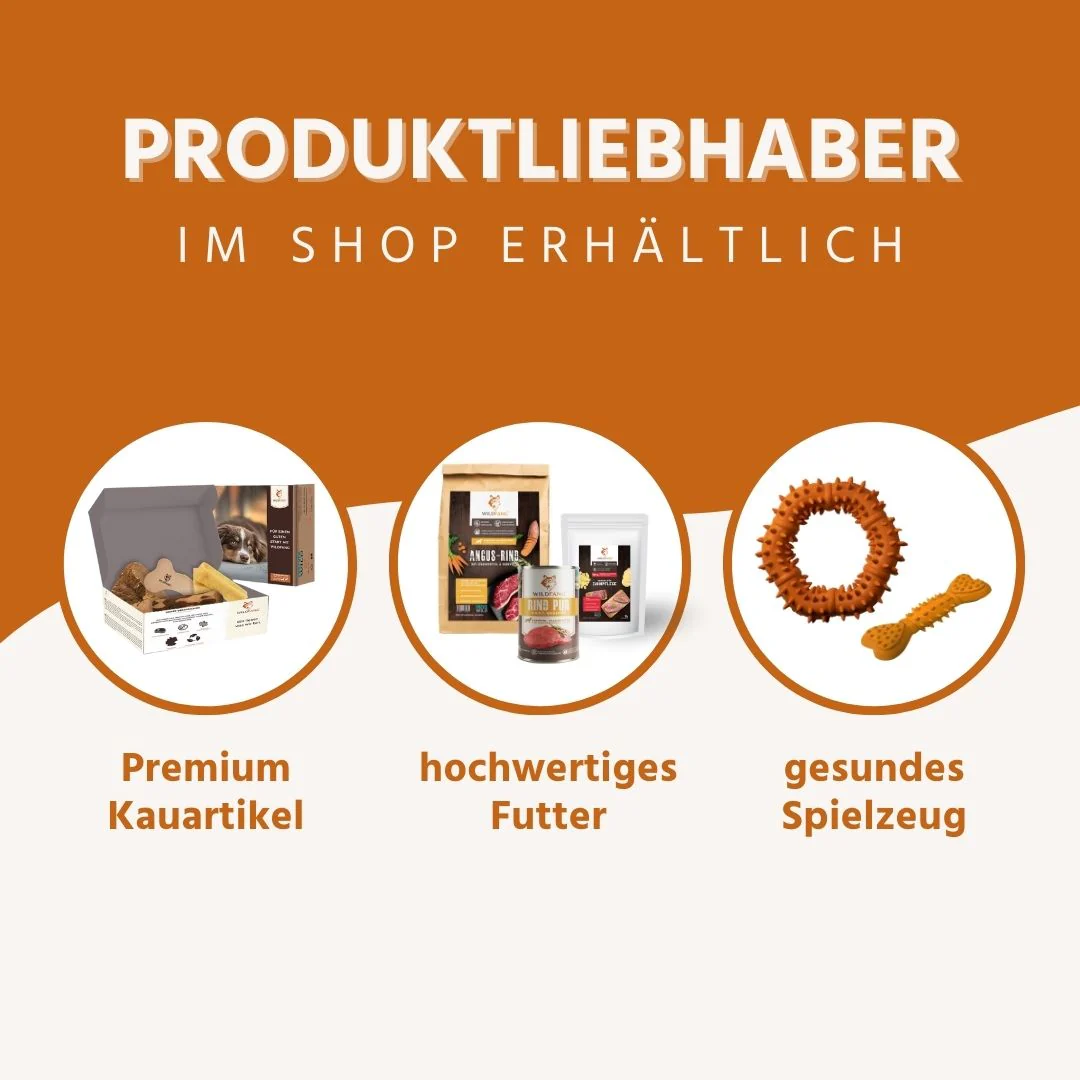 Vorschaubild 11