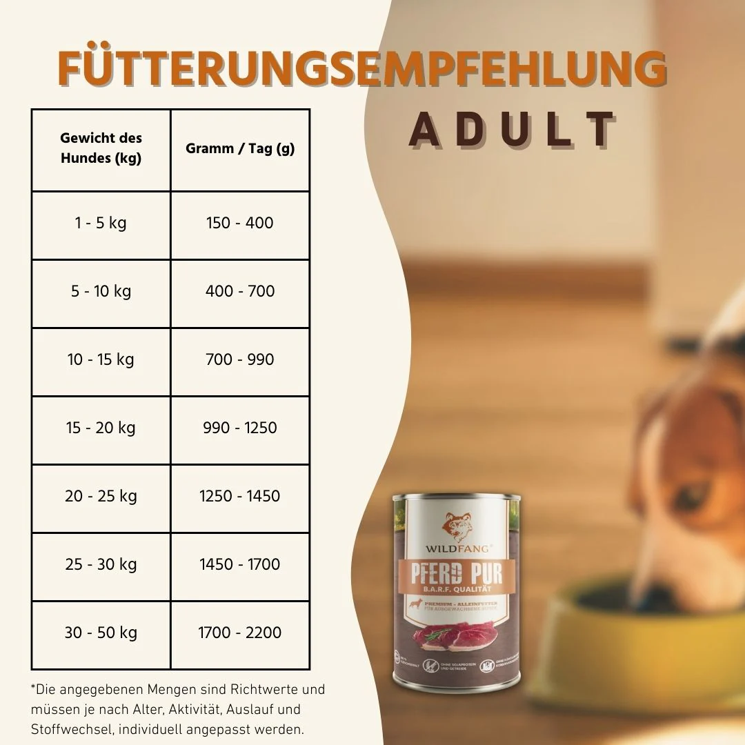 Vorschaubild 17