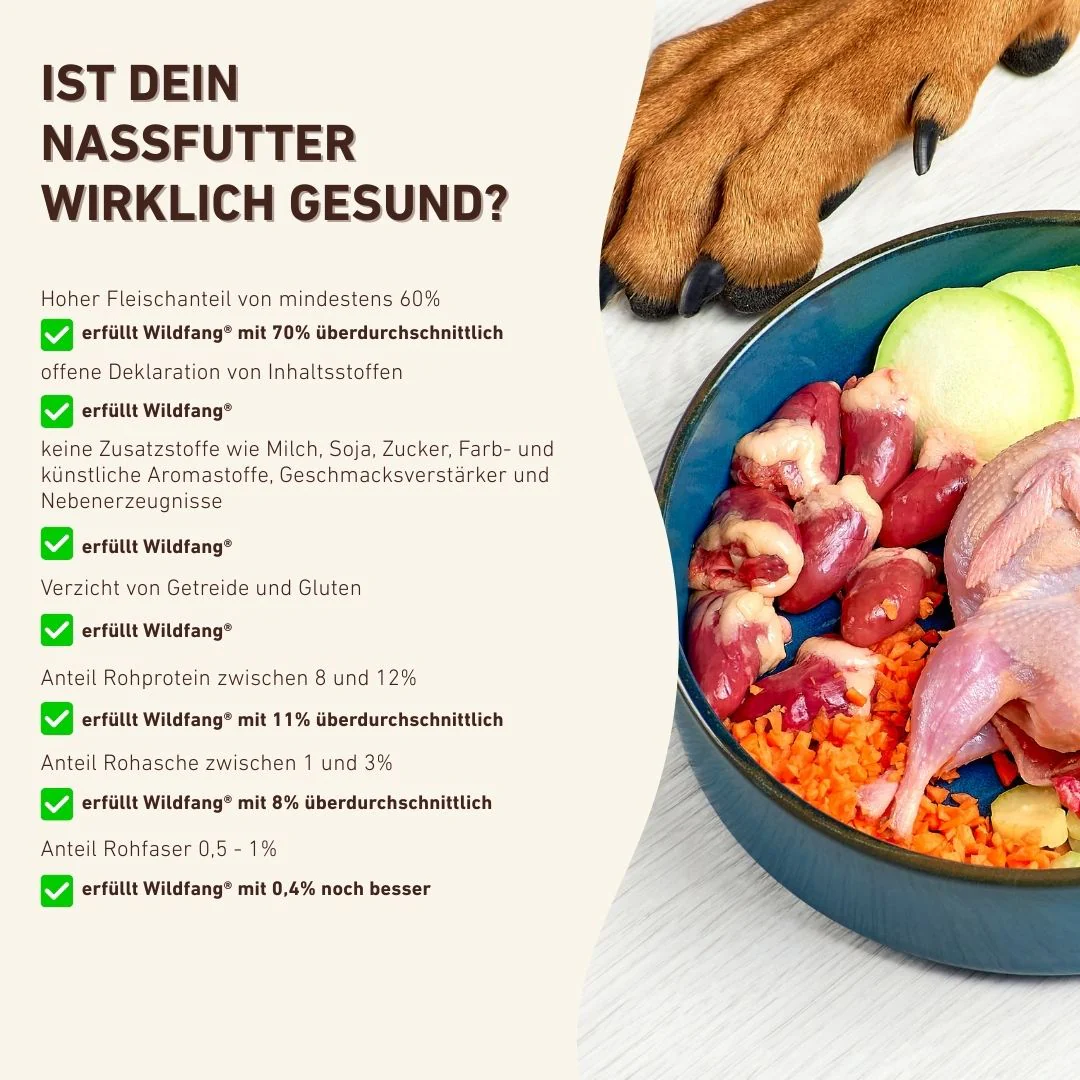 Vorschaubild 26