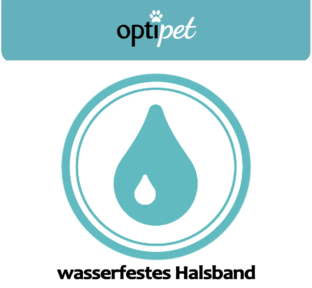 Vorschaubild 10
