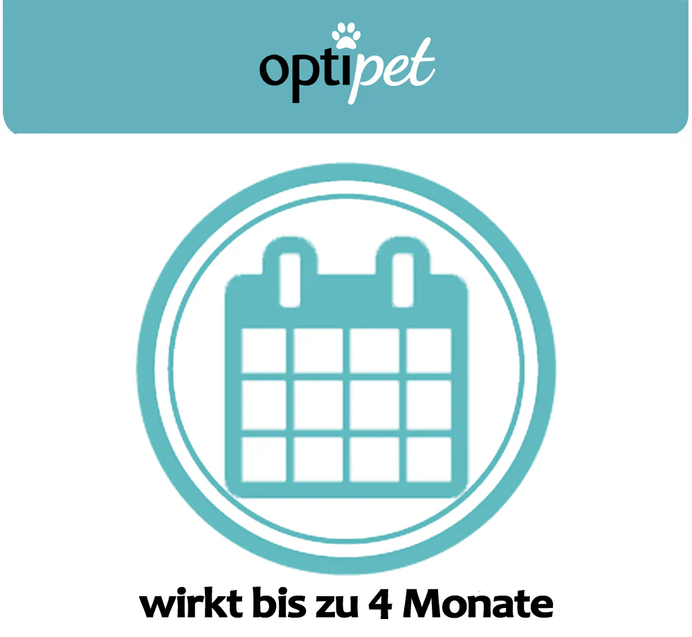 Vorschaubild 12