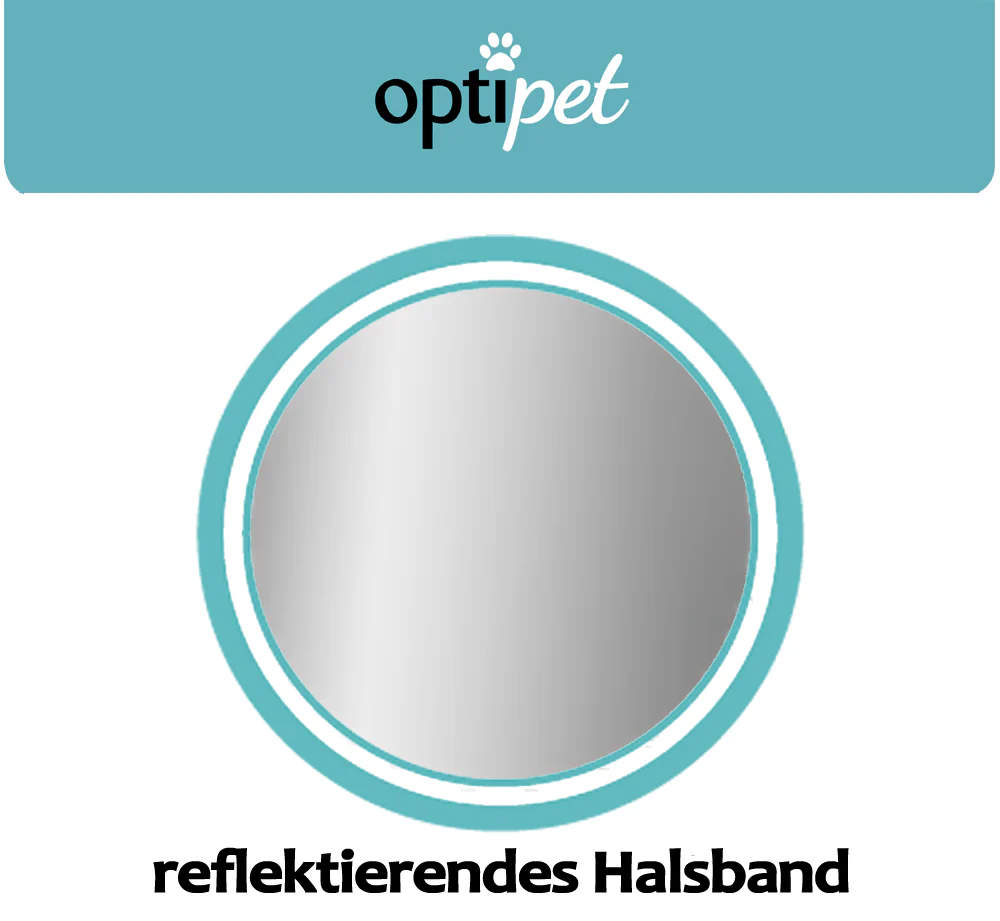 Vorschaubild 23