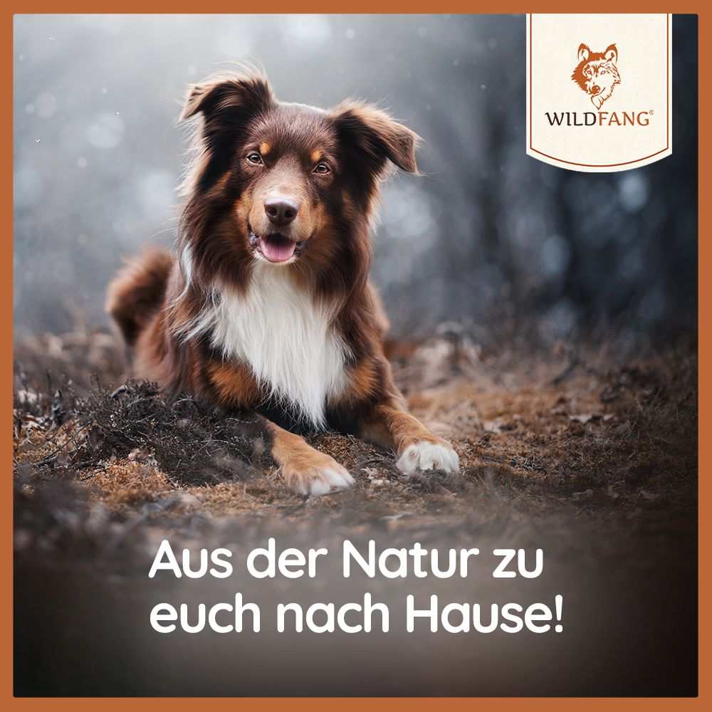 Vorschaubild 15