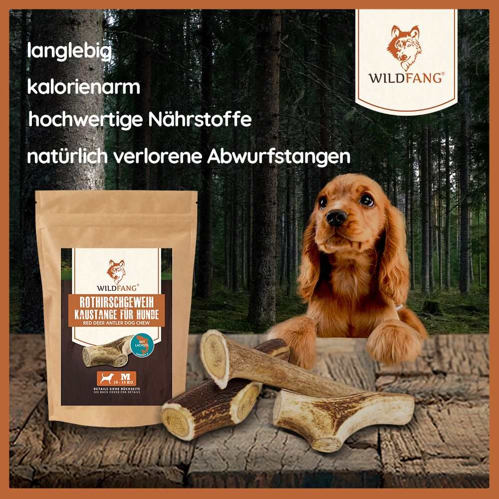 Vorschaubild 18