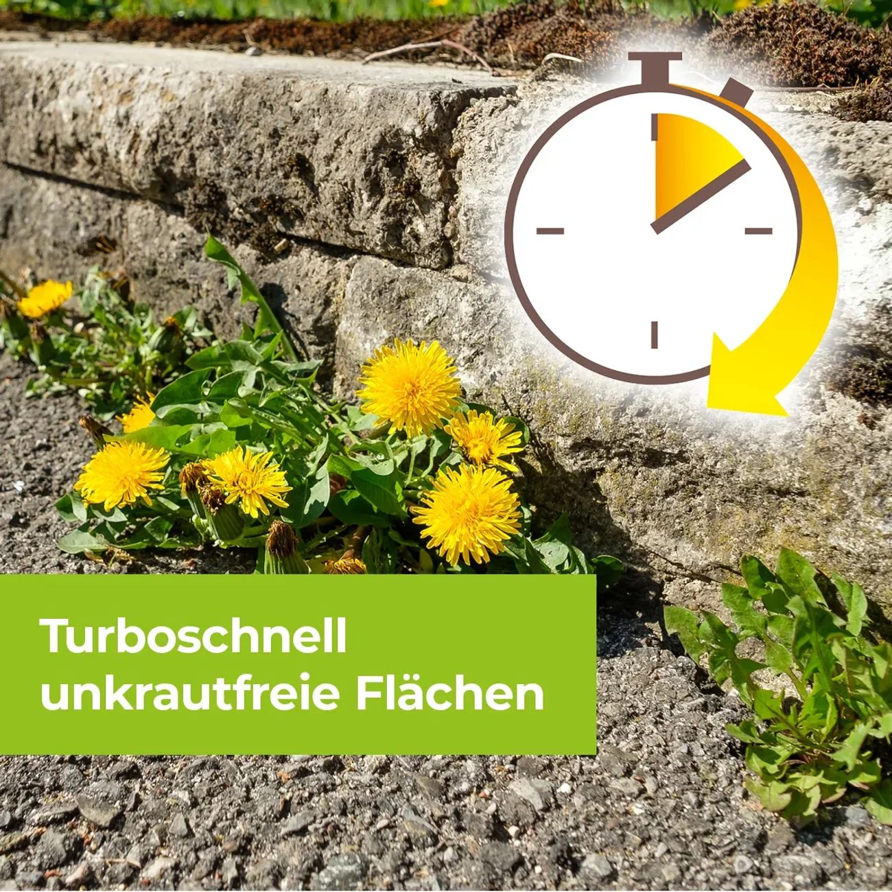 Vorschaubild 9