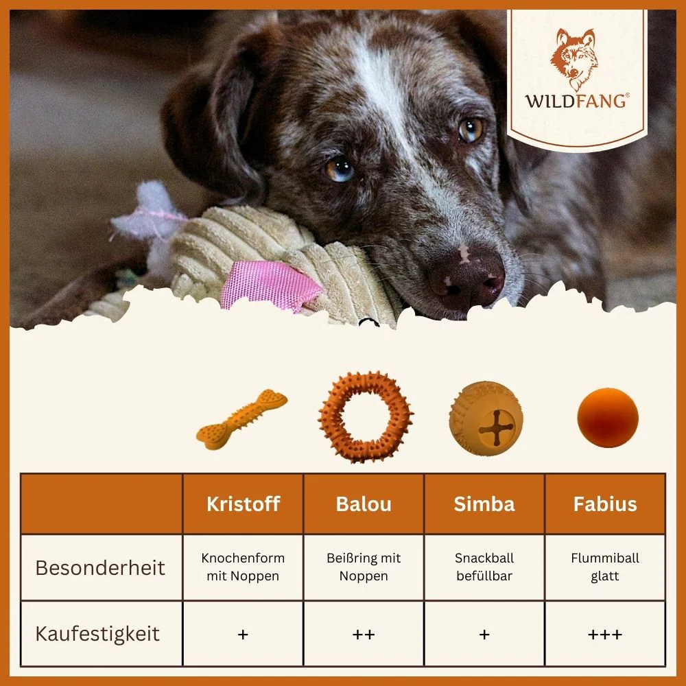 Vorschaubild 8