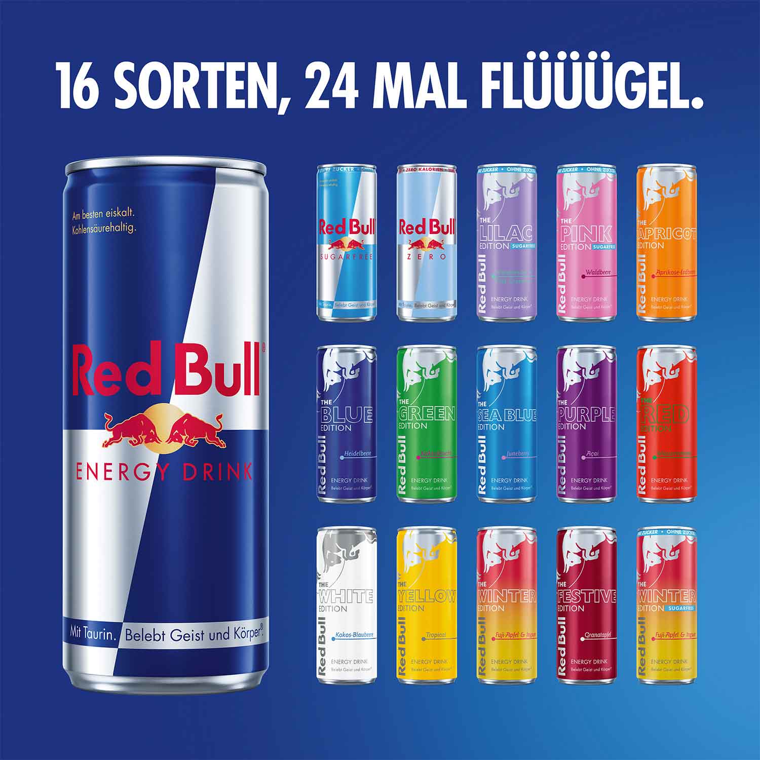 Vorschaubild 3
