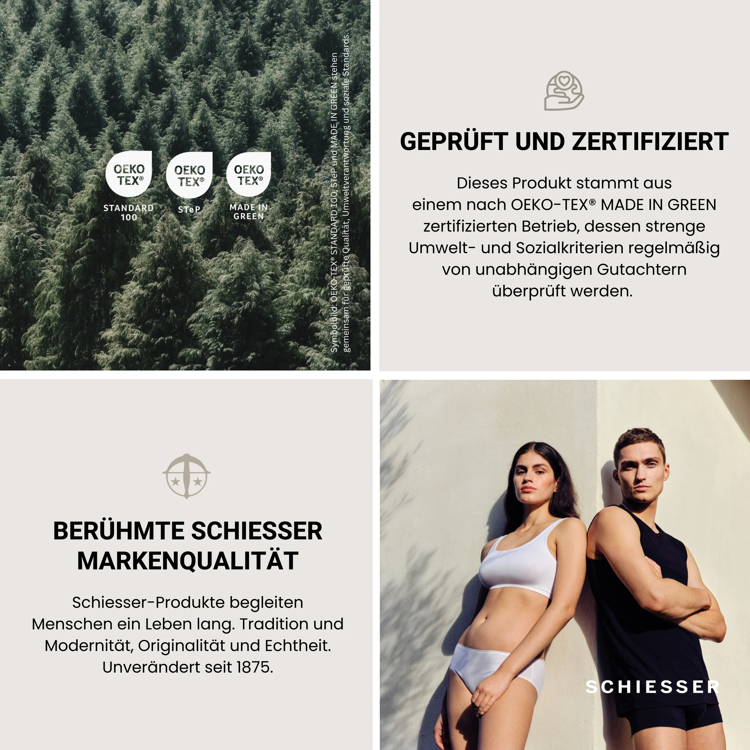 Vorschaubild 8