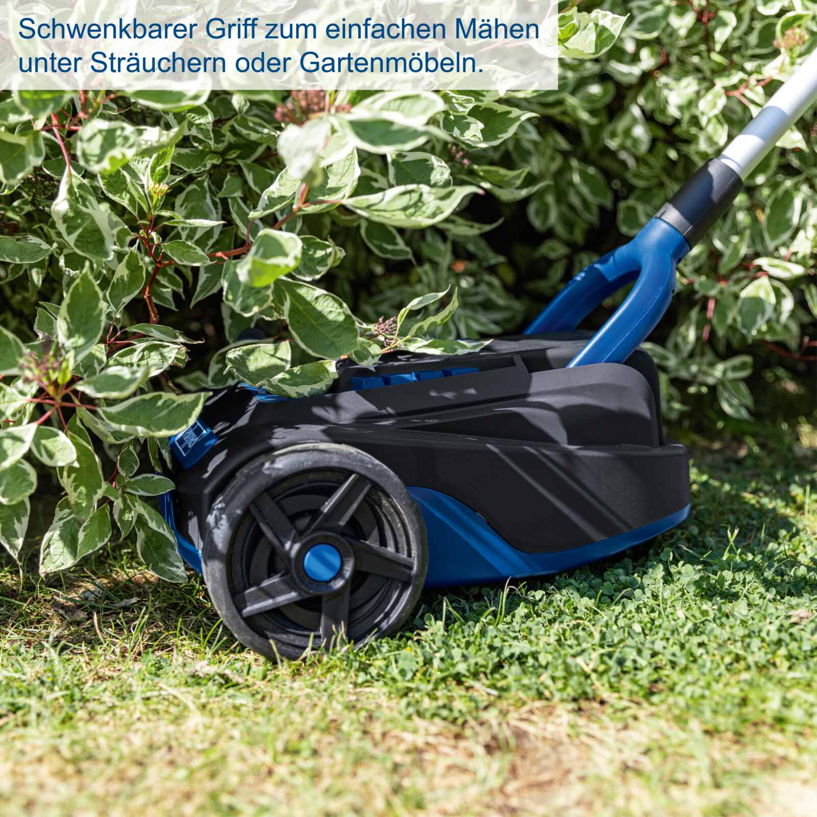 Vorschaubild 7