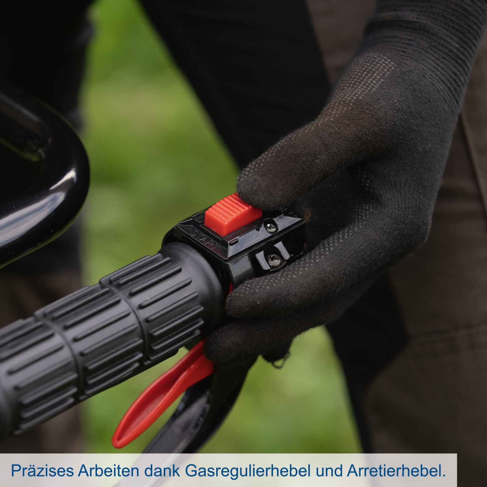 Vorschaubild 7