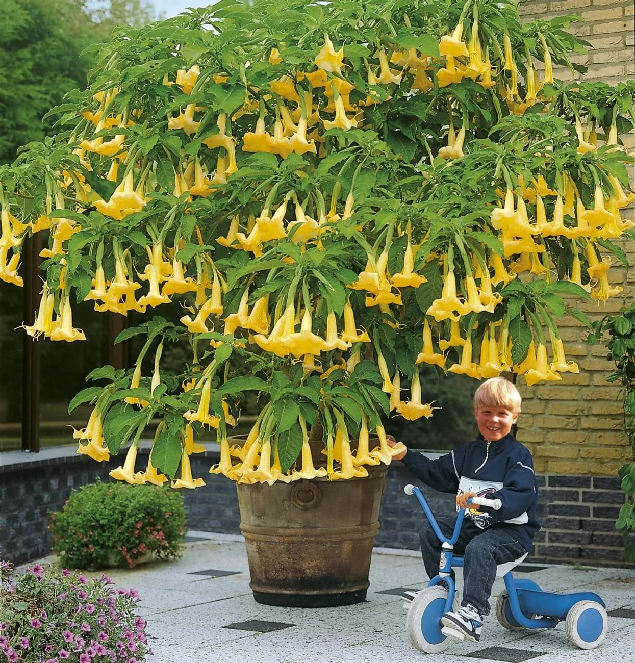 Vorschaubild 2