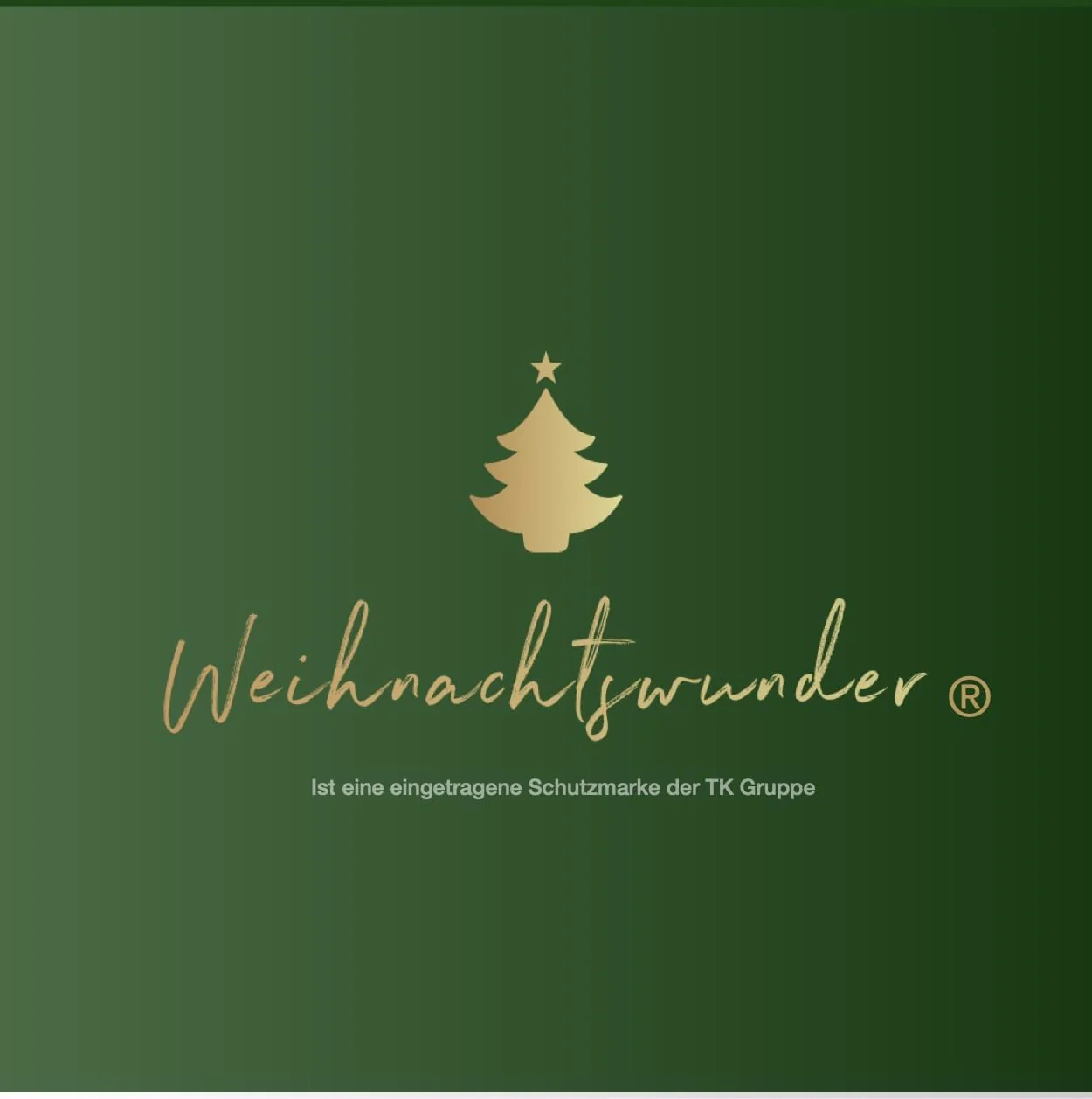 Vorschaubild 7